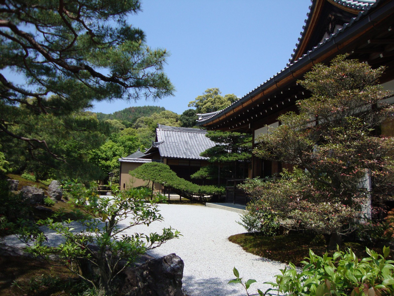 Arbres entourant le temple Kinkaku-ji, Japon, Asie, photo gratuite