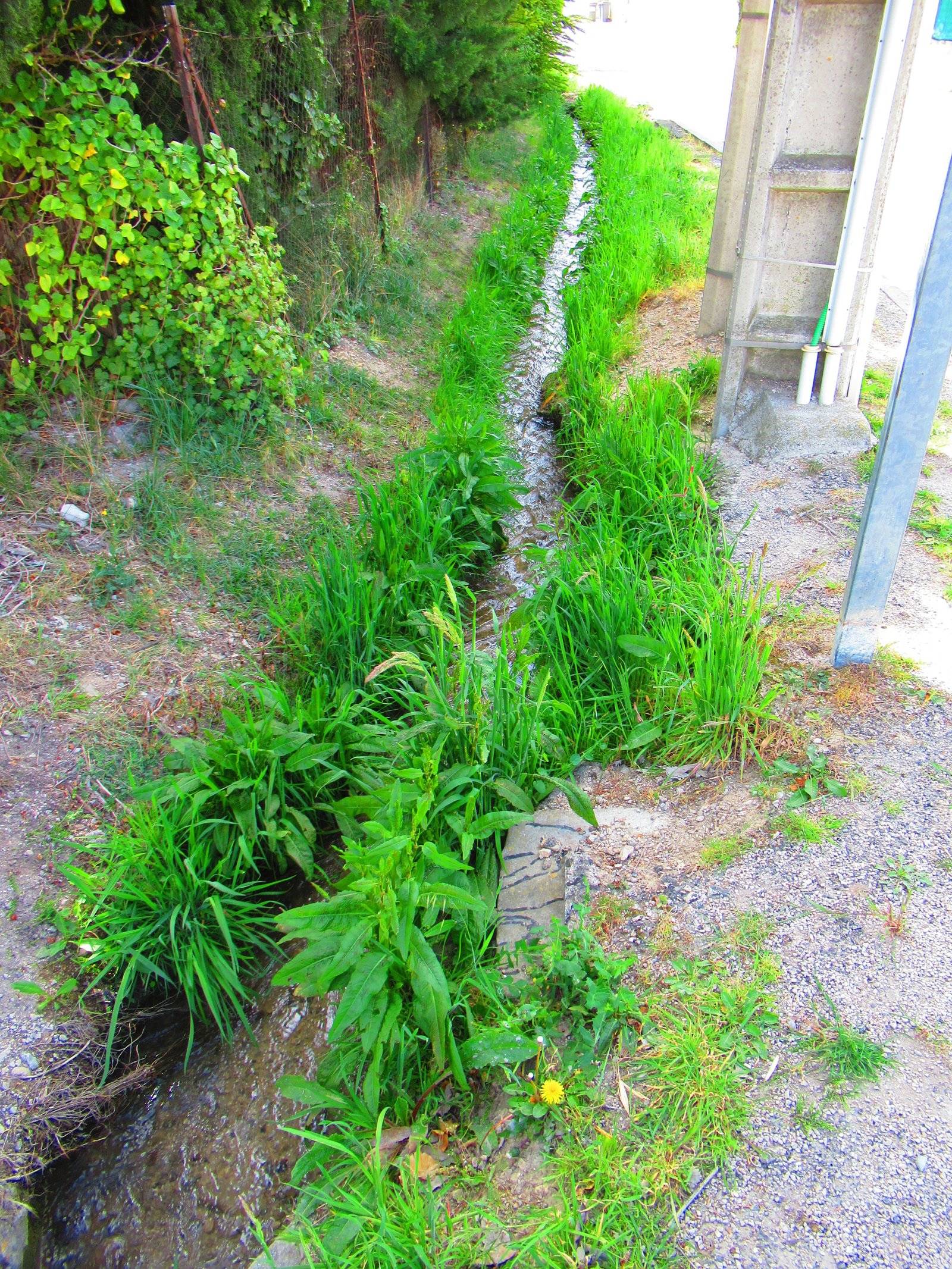 Canal d'irrigation en Provence