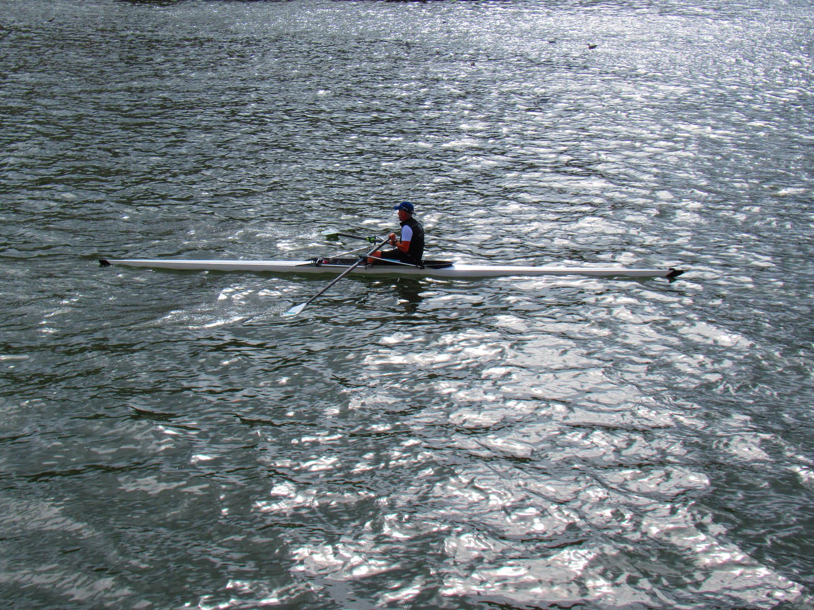 Aviron sur le Douro à Porto