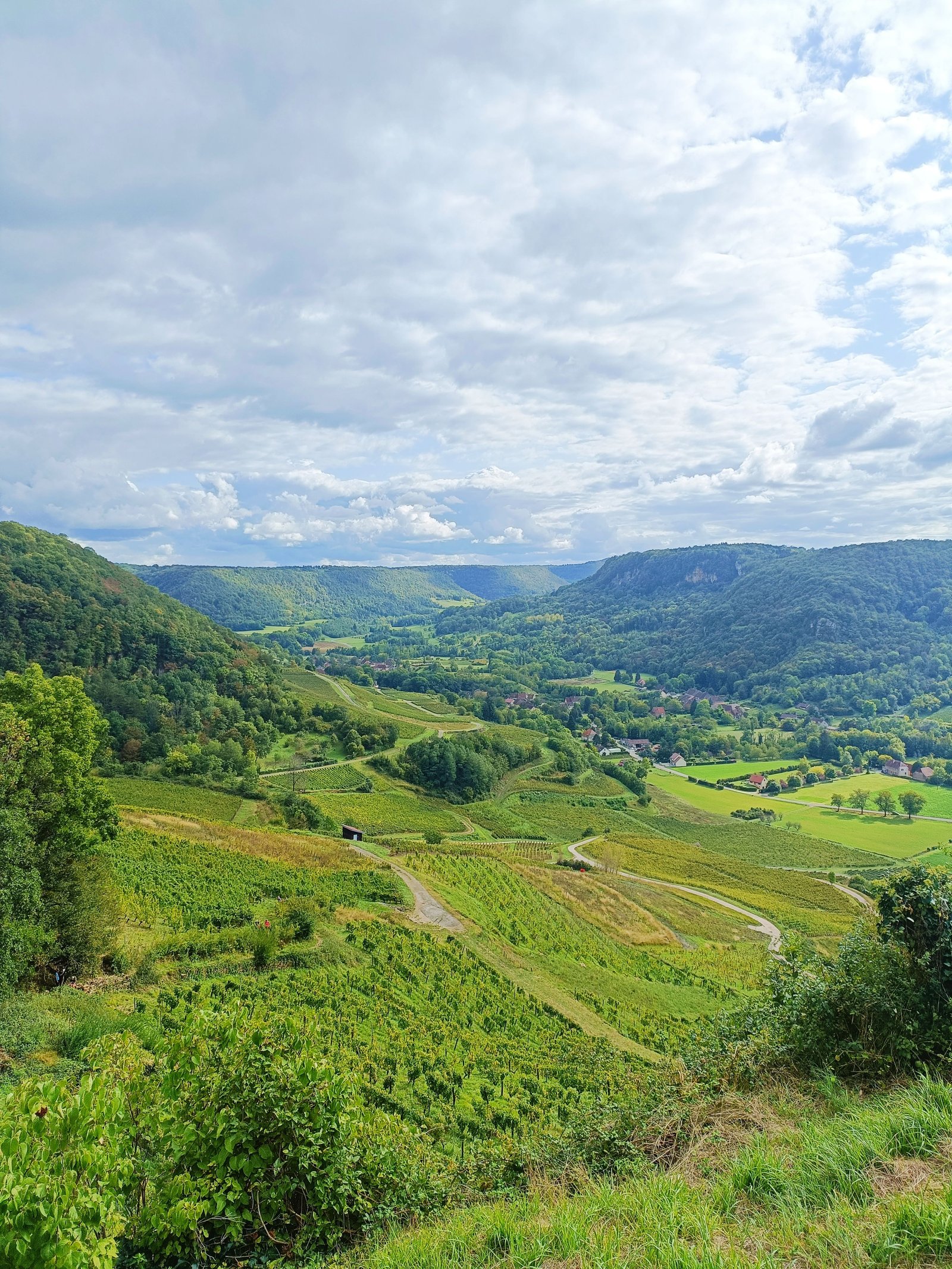 Un paysage avec des arbres, des collines, photo gratuite