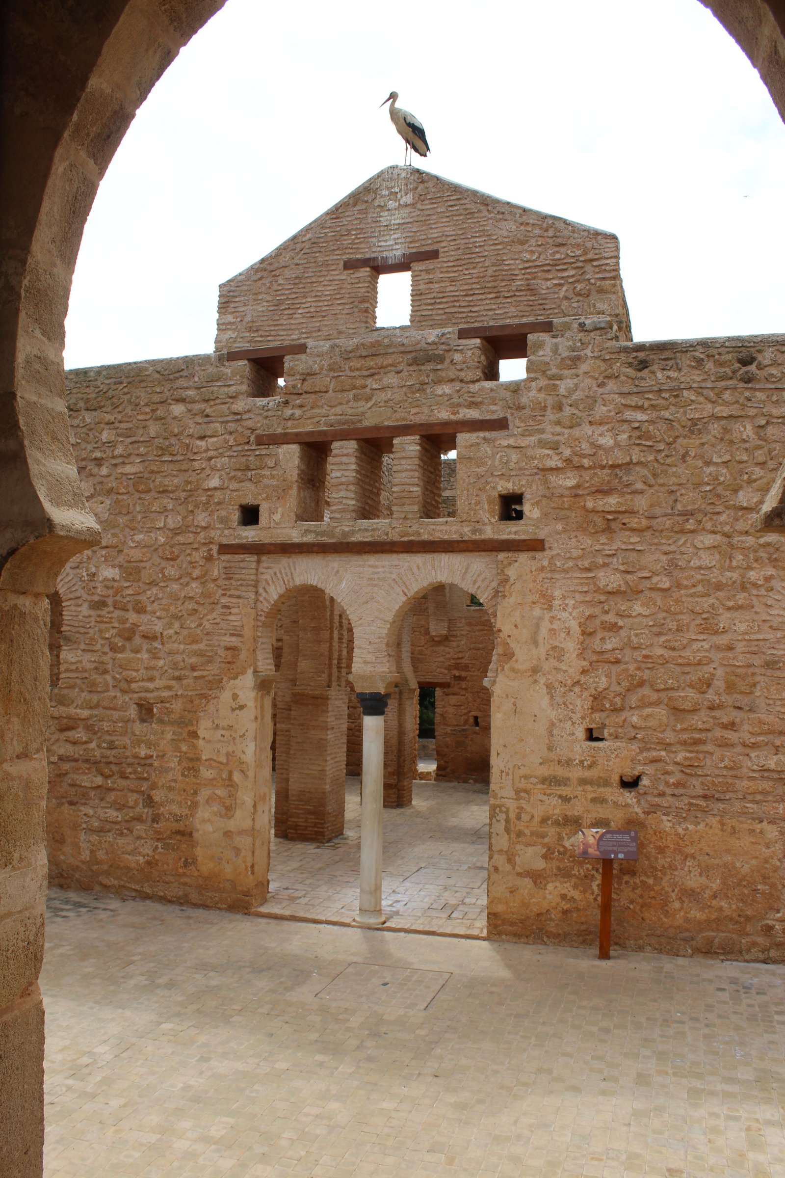 Mur du site archéologique de Chellah, Rabat, au Maroc, photo gratuite