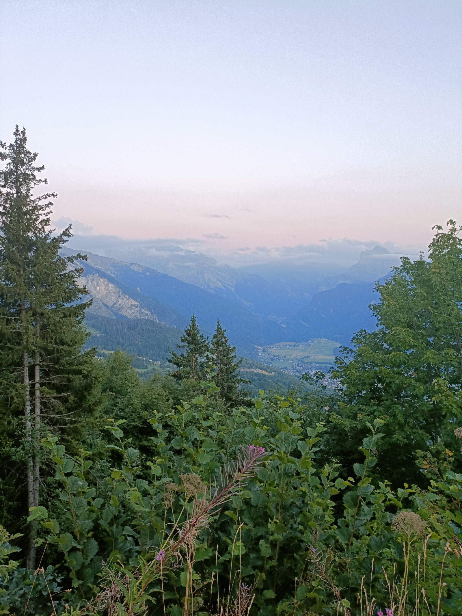 Un paysage montagneux avec des arbres et des buissons, photo gratuite