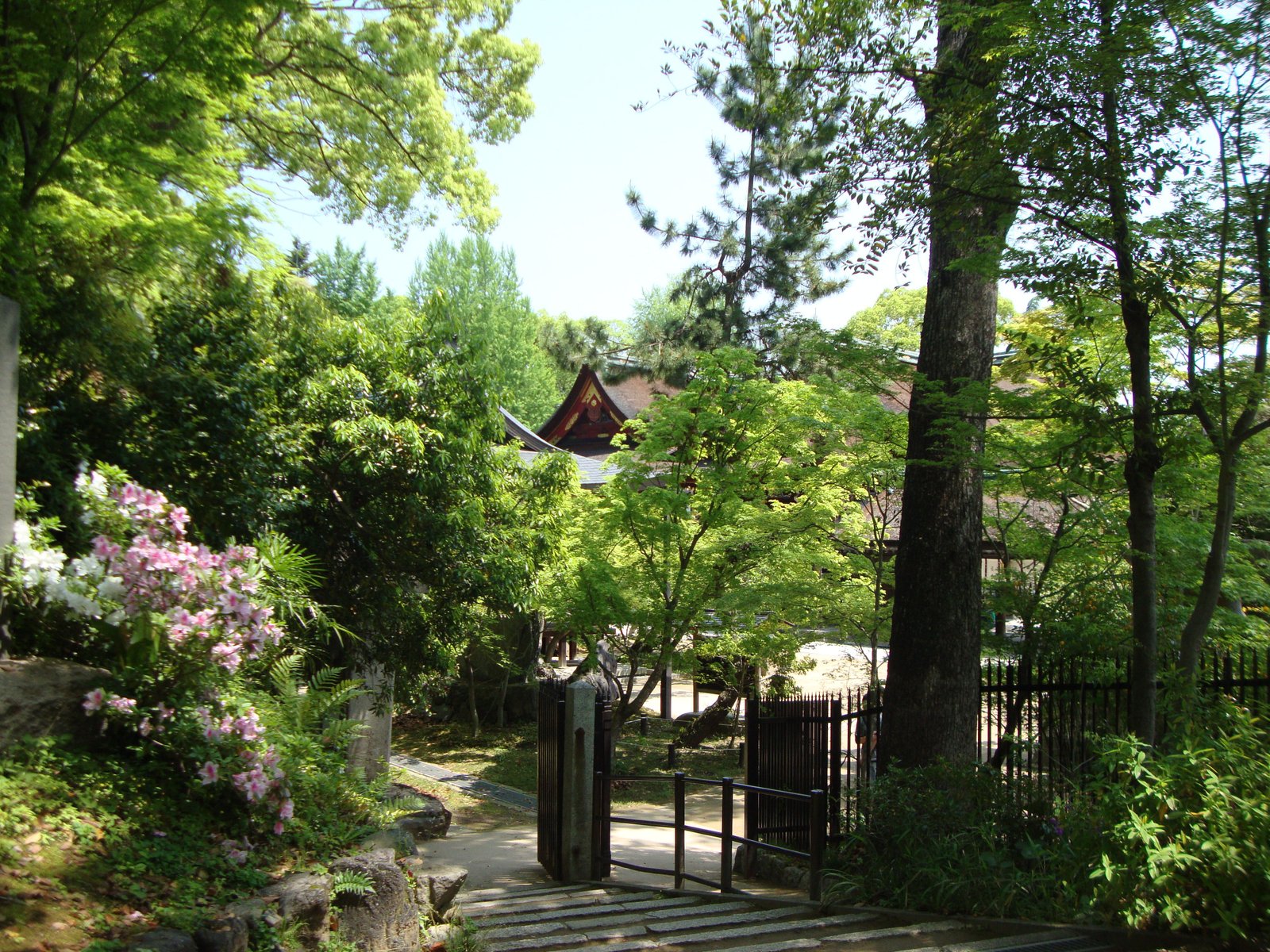 Temple dans la forêt, Japon, Asie, Photo gratuite