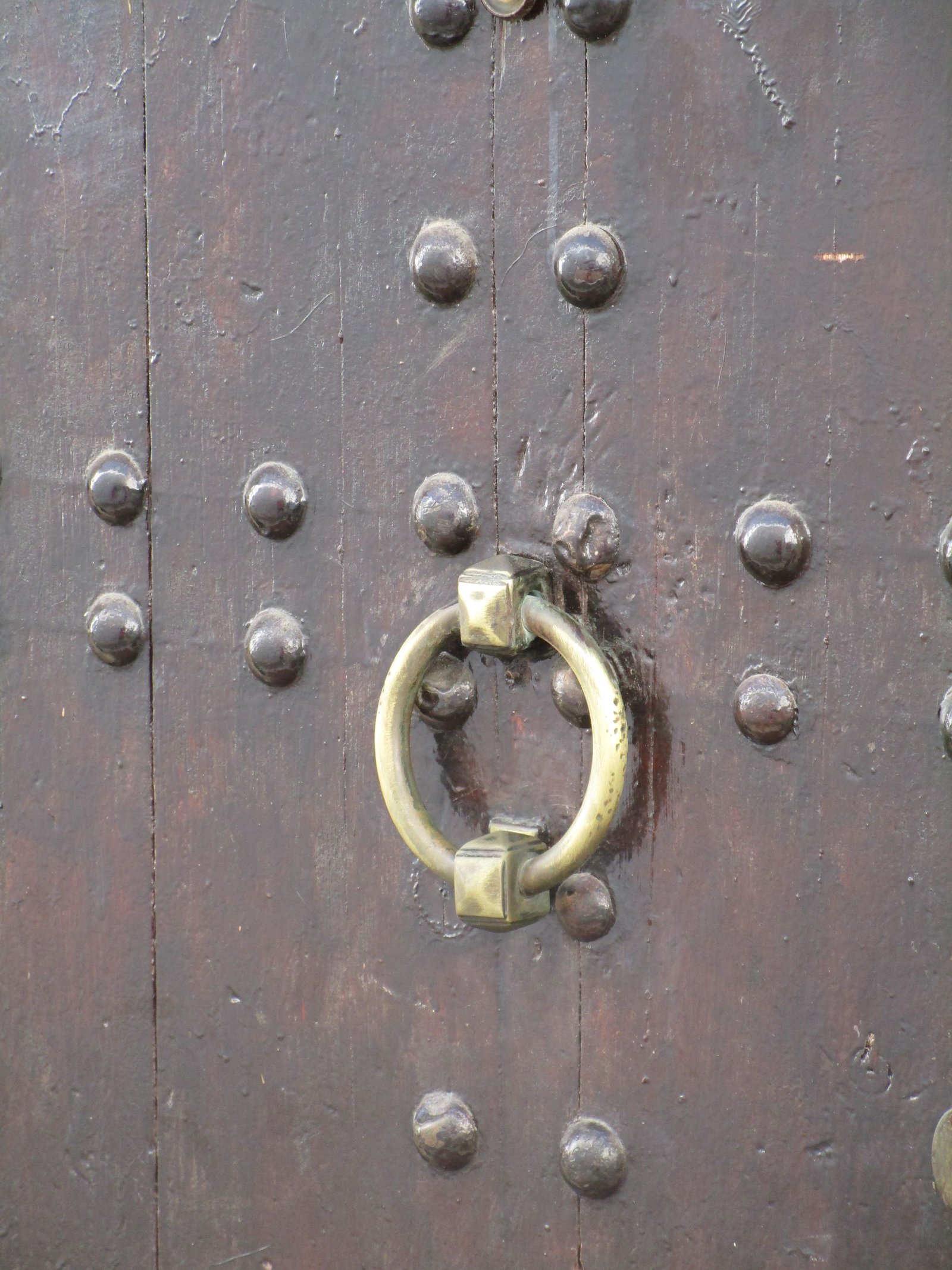 Ballotière d'une pore noire