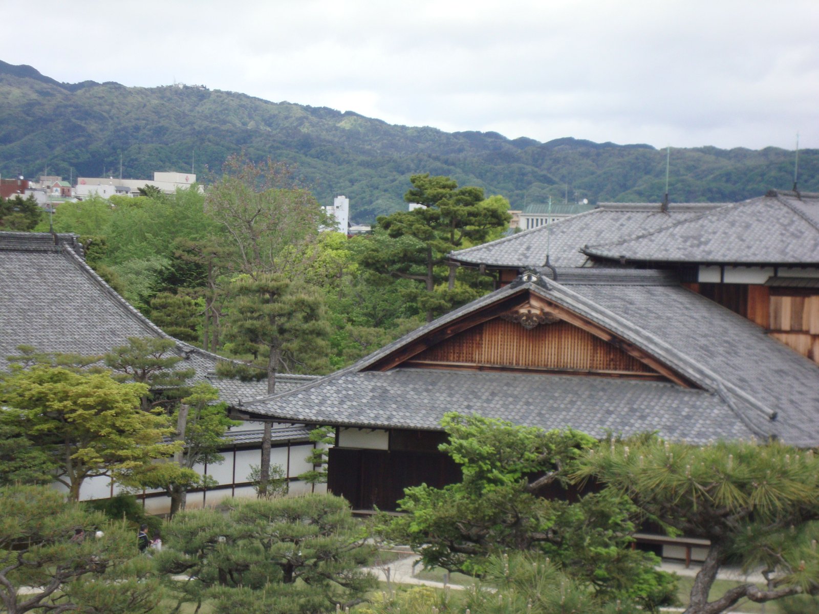 Toiture du temple Nijo-jo, batiment entouré d'arbre, Japon, Asie, photo gratuite