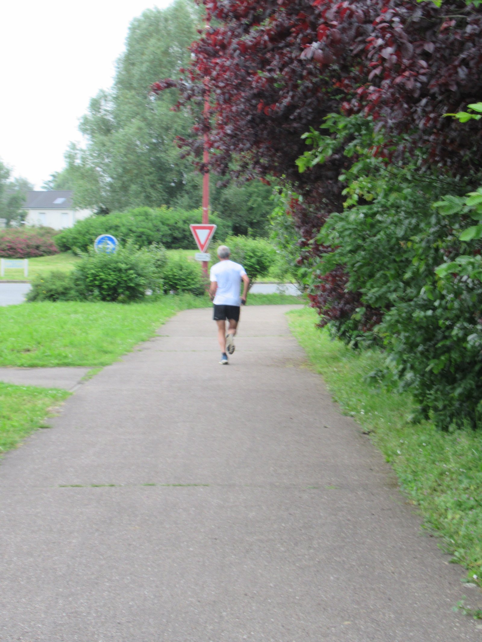 Personne faisant une course à pied près d'un parc