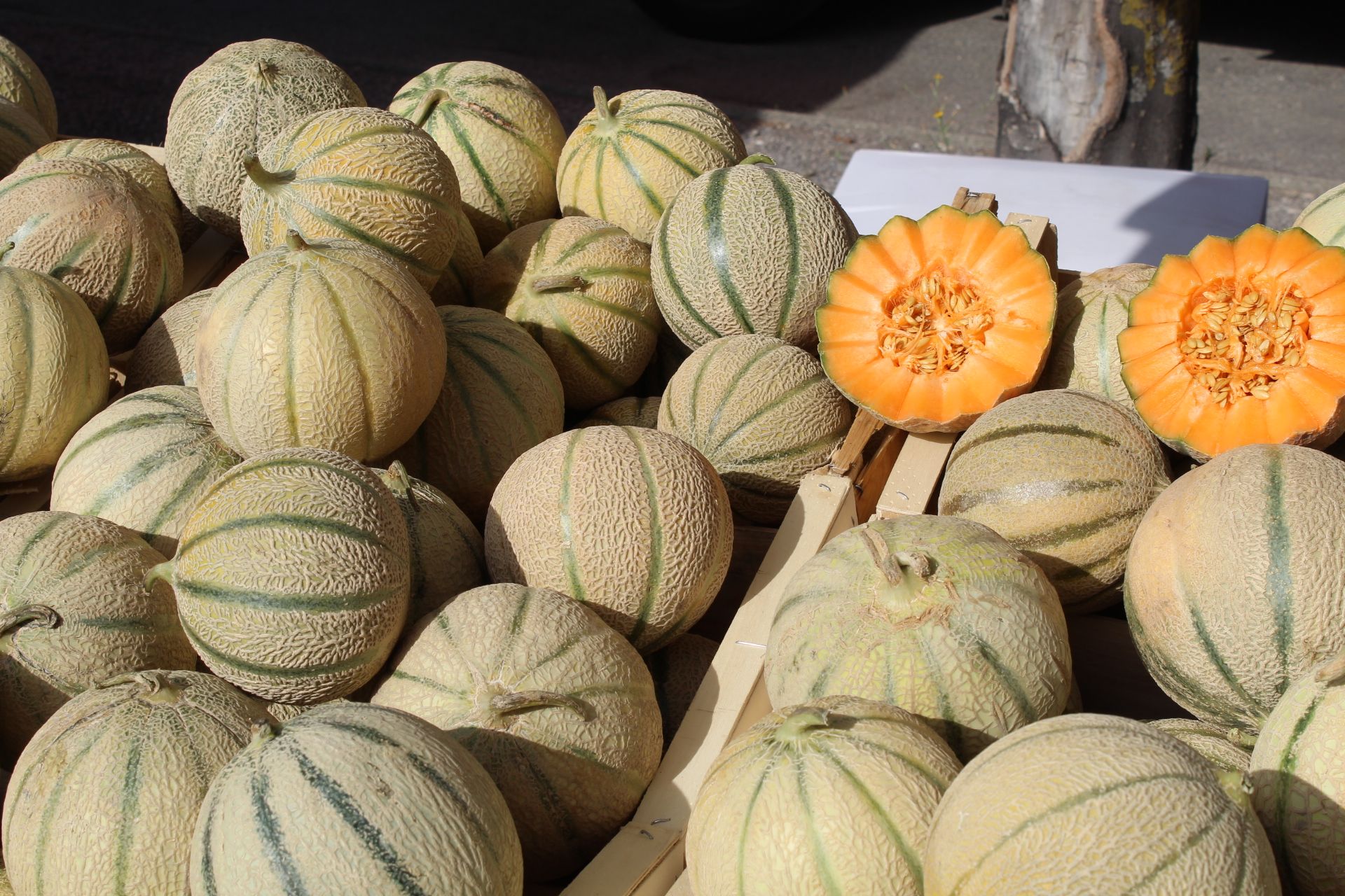 Melon charentais - Charentais-Melone