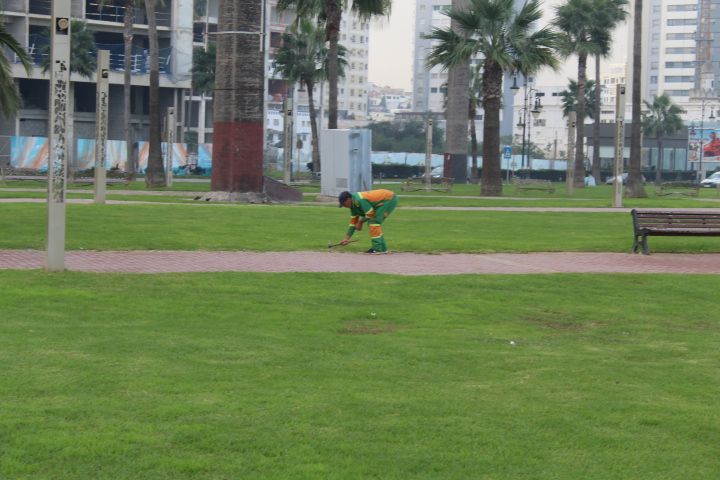 A gardener cleaning the lawn free photo