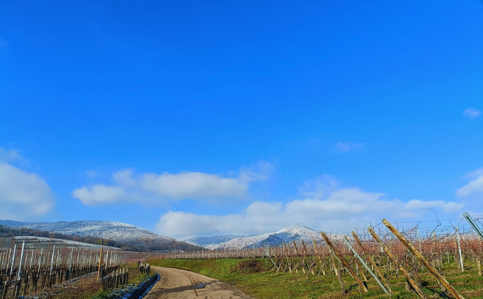 Un paysage de vignoble, une route de terre et des collines enneigées, photo gratuite