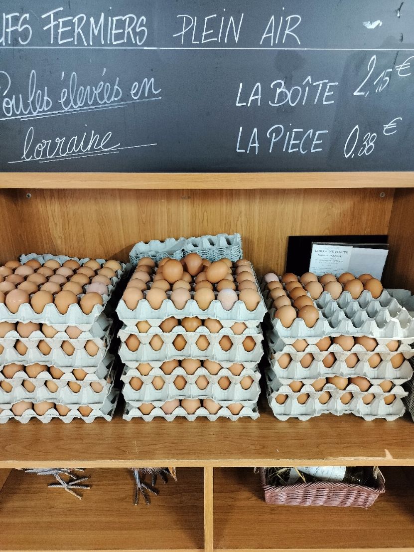 Egg pallets for sale from a farm free photo
