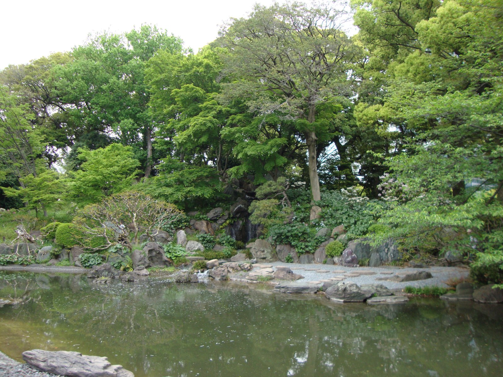 Jardin avec le lac, parc, Japon, Asie photo gratuite
