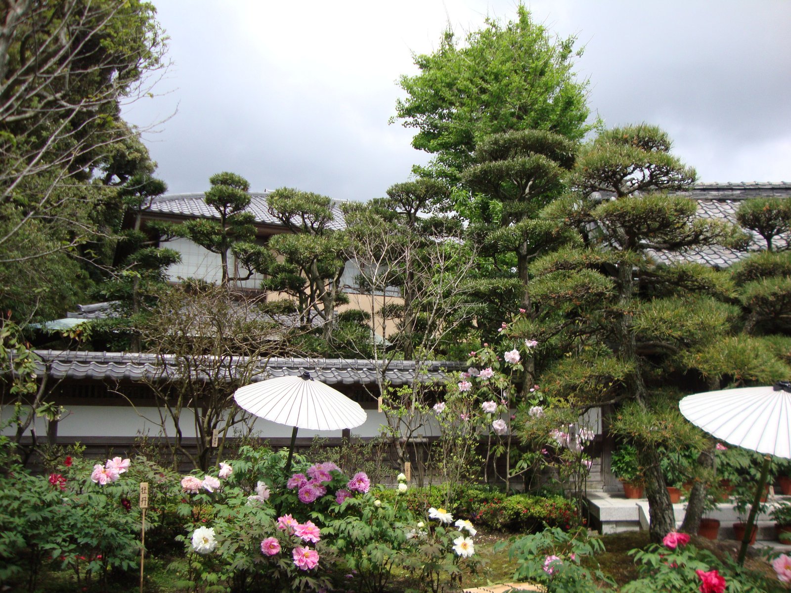 Jardin de fleurs traditionnel japonais photo gratuite