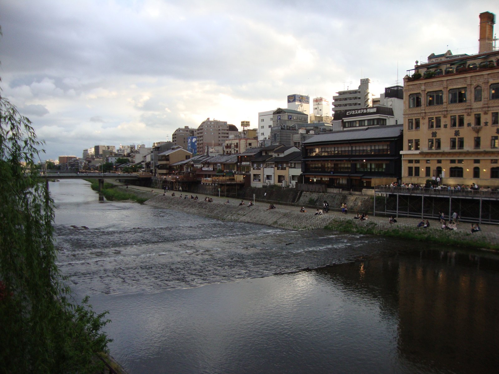 Kamo River in Kyoto, Japan free photo