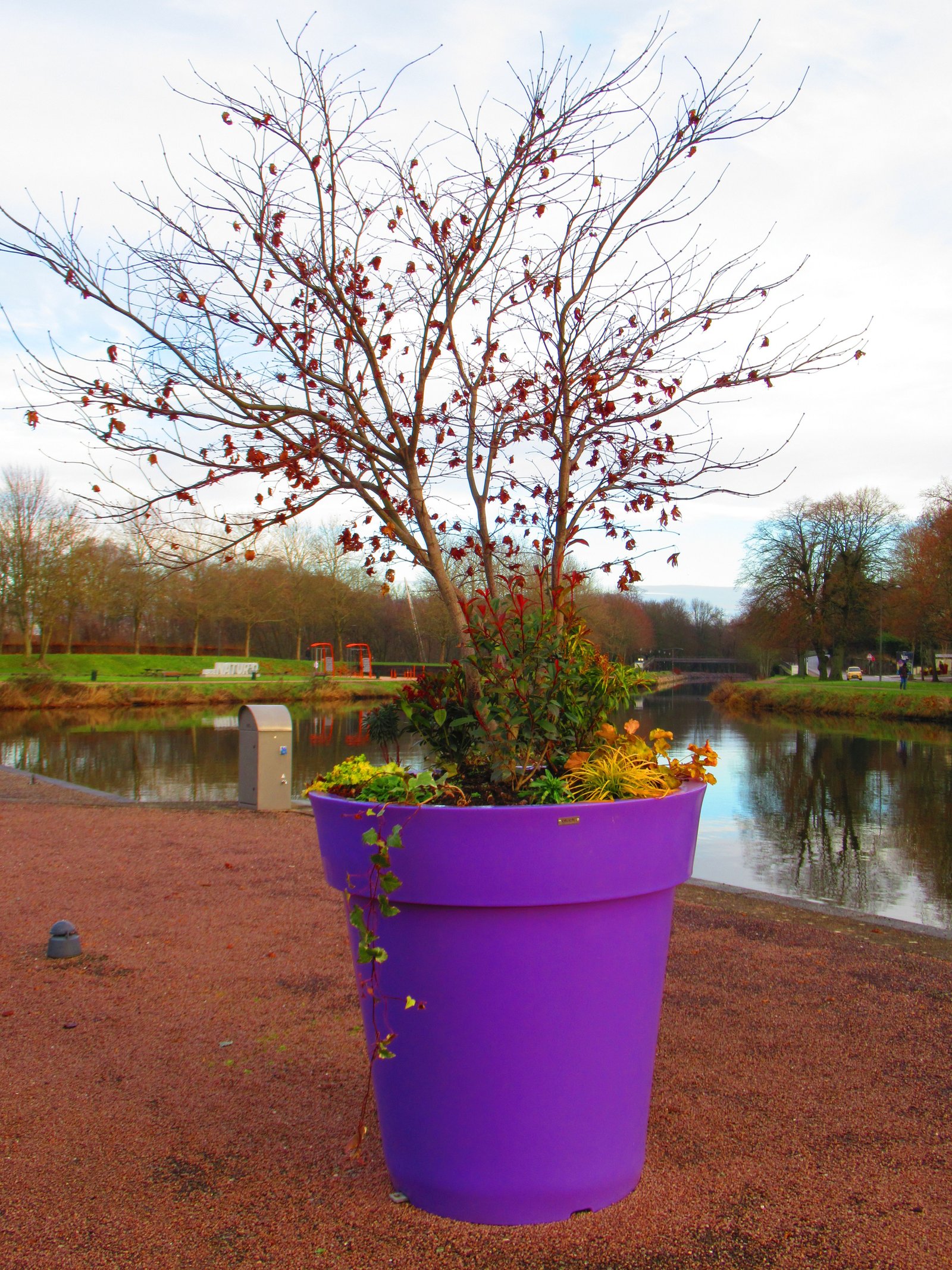 Un grand pot de fleurs décoratif contenant un arbre et d'autres plantes, photo gratuite