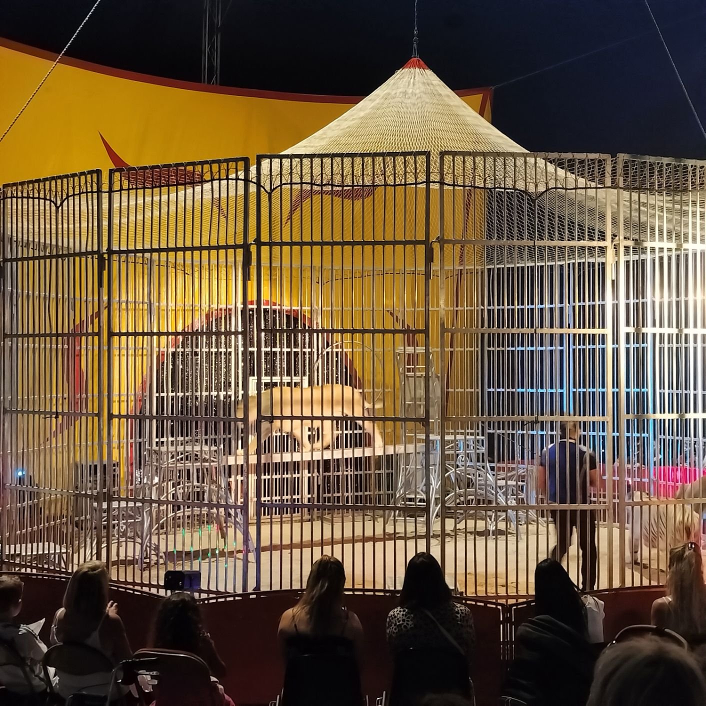 Cages aux fauves au cirque