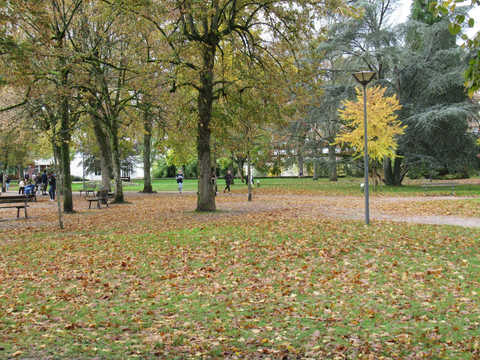 Vue sur un parc couleur d'automne