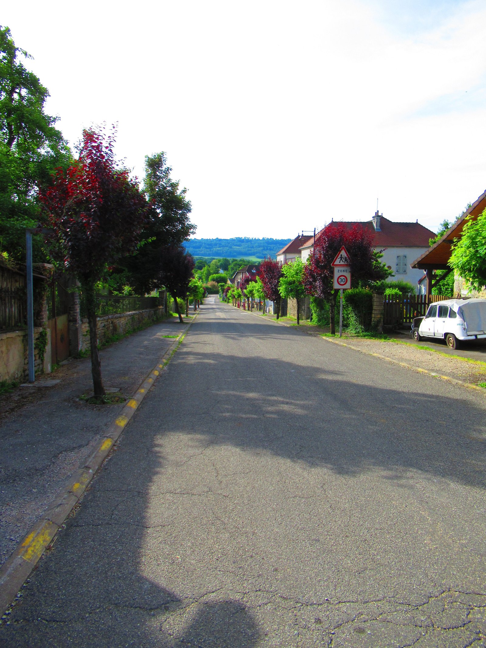 Une rue résidentielle bordée de maisons et d'arbres, photo gratuite