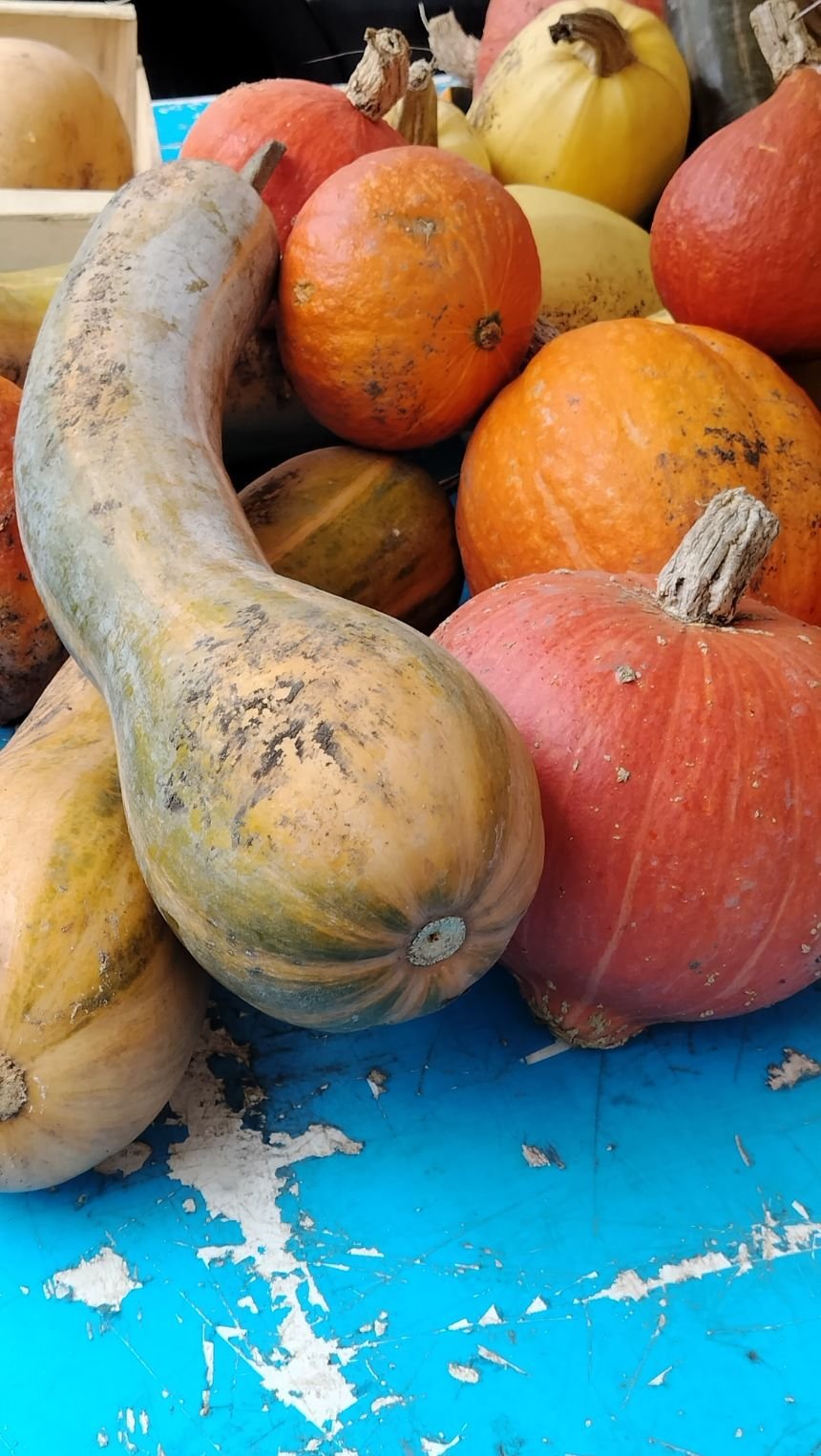 Un assortiment de courges, photo gratuite