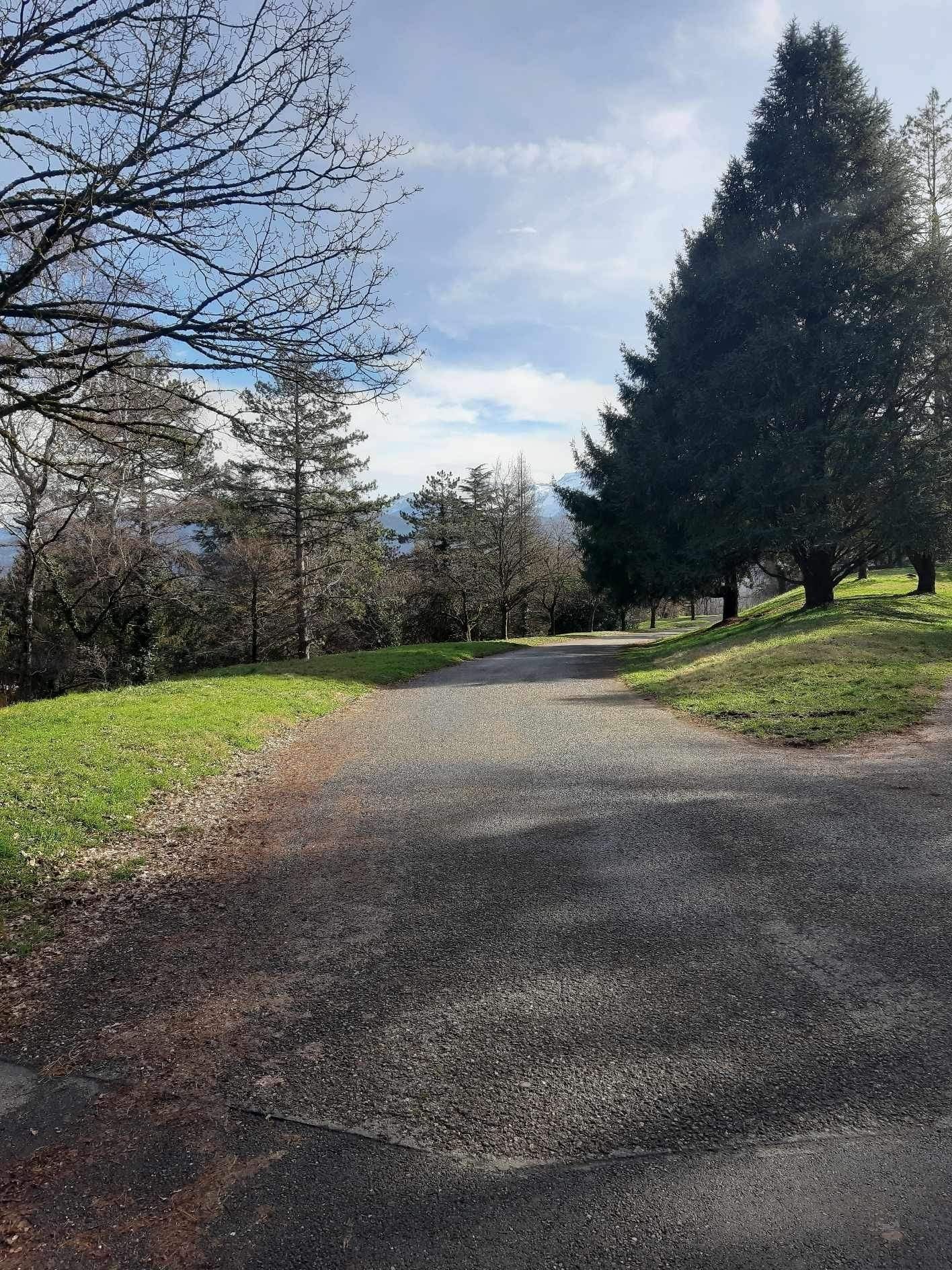 Route montant vers le Fort