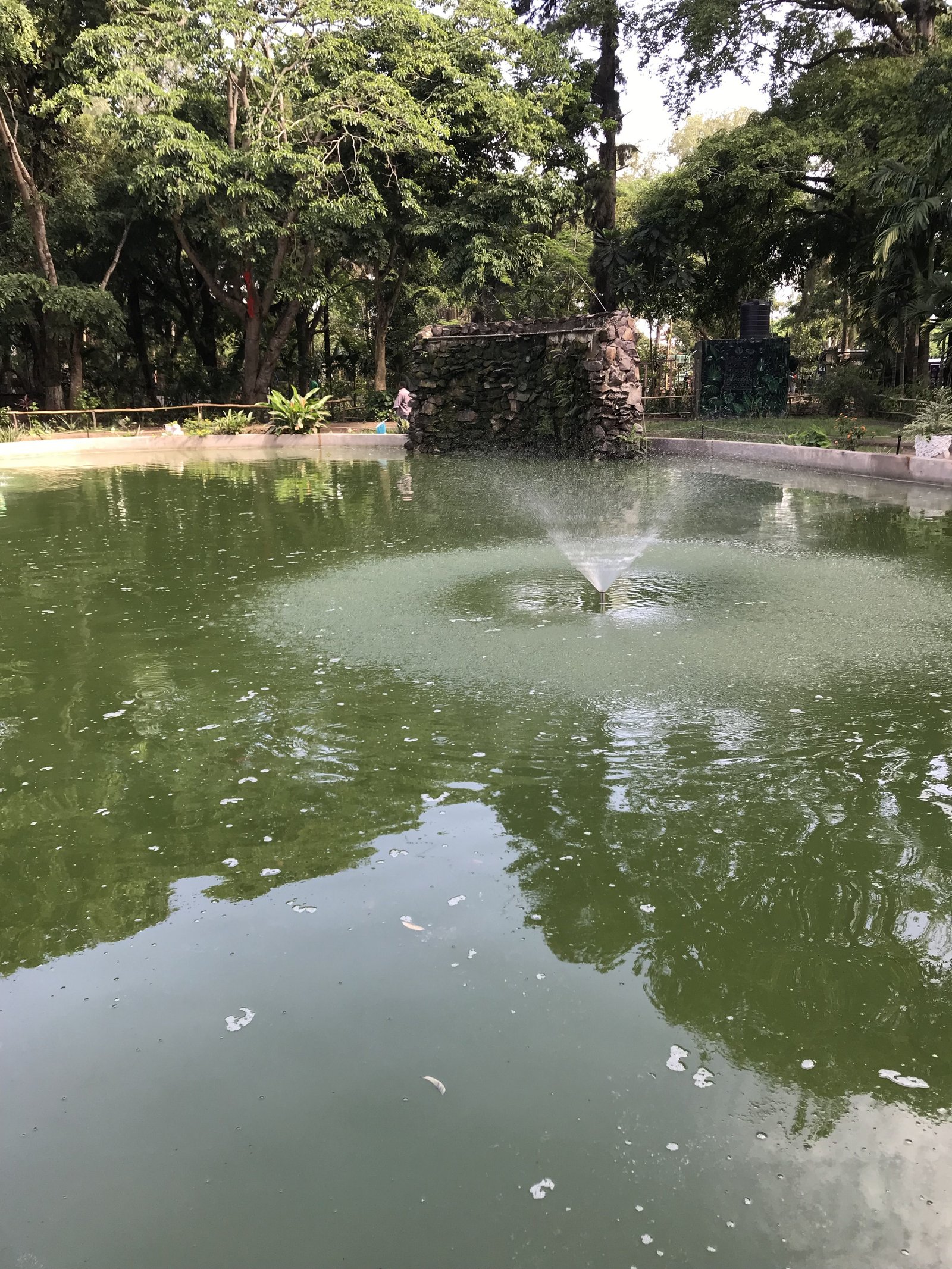 Piscine verte photo gratuite