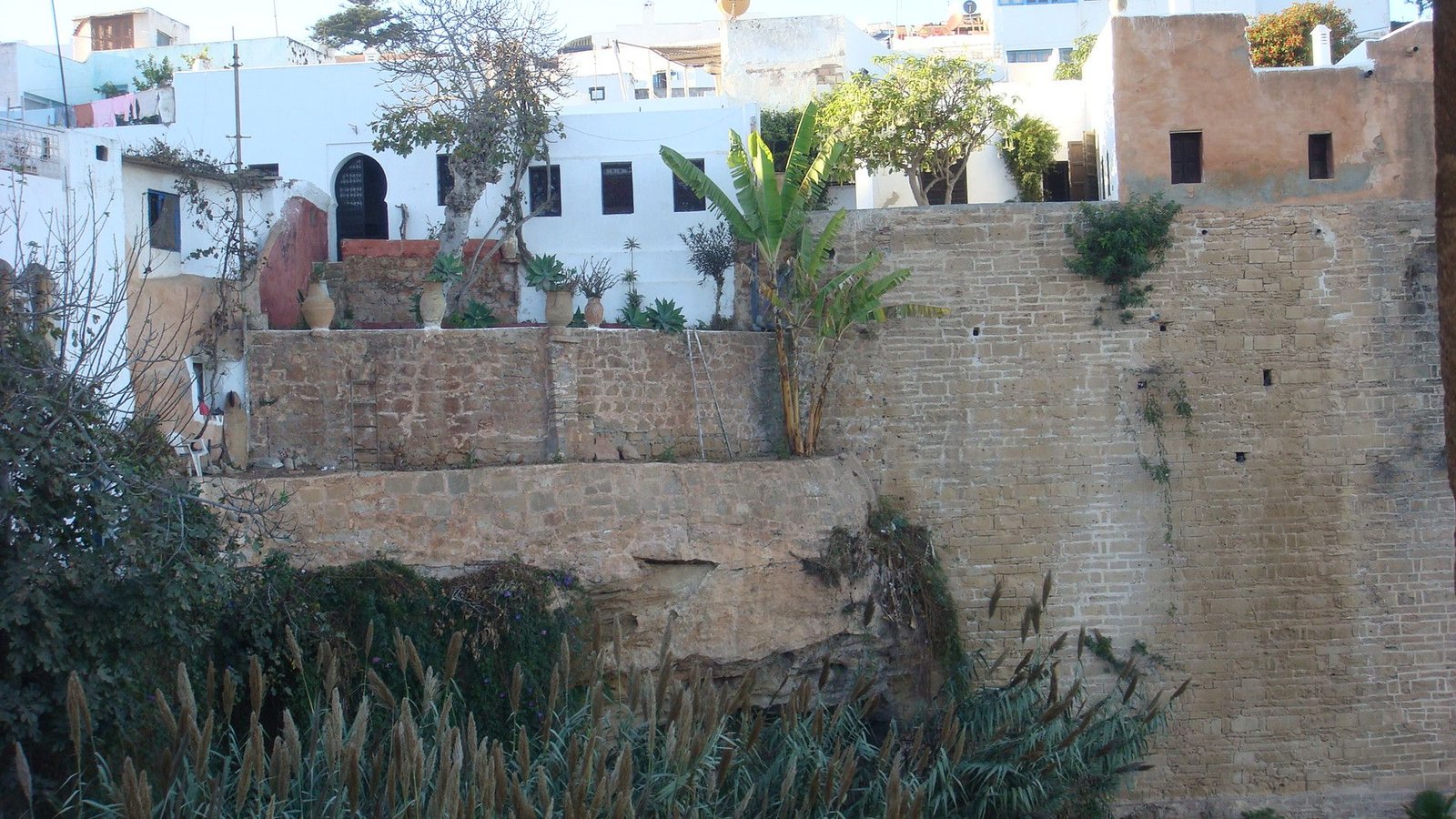 Un mur de fortification en pierre surplombé par des habitations photo gratuite