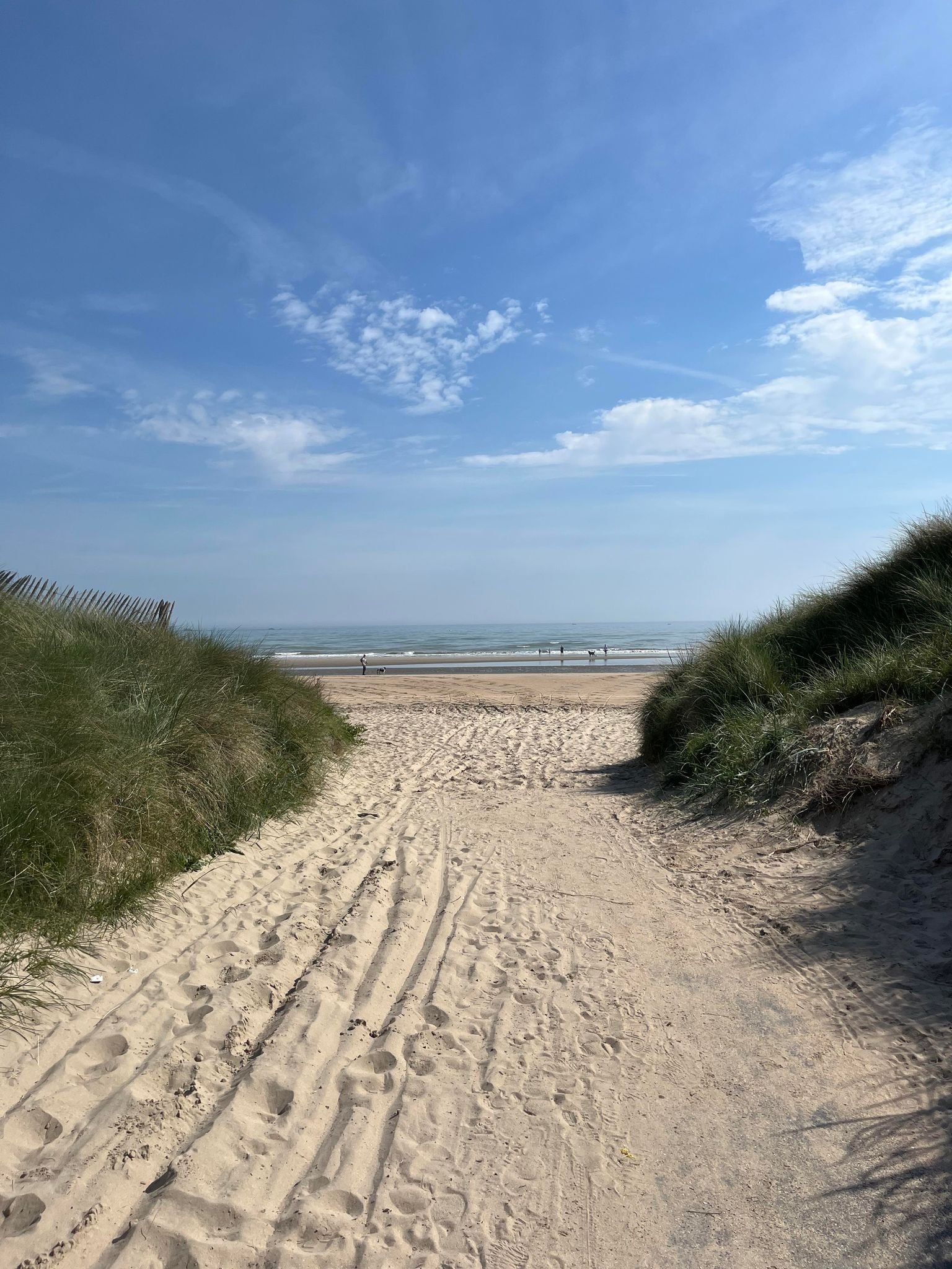 Dunes de sable donnant vue sur une plage