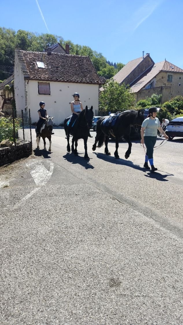 Promenade en chevaux dans un village, photo gratuite
