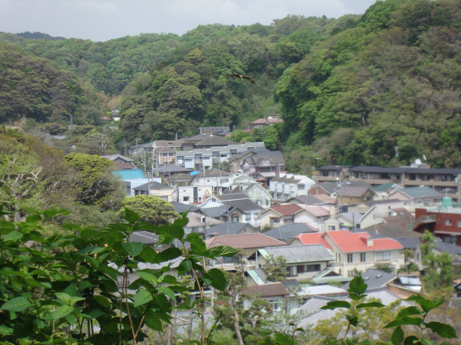 Vue aérienne des maisons entourées d'arbres au Japon, Asie, photo gratuite