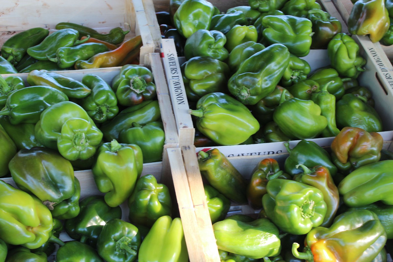 Poivrons verts, photo gratuite