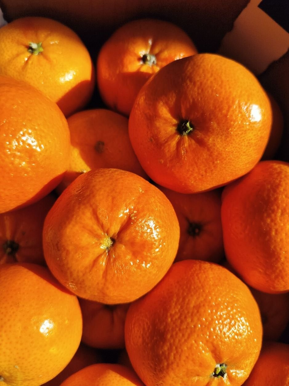 Pile de mandarines mûres