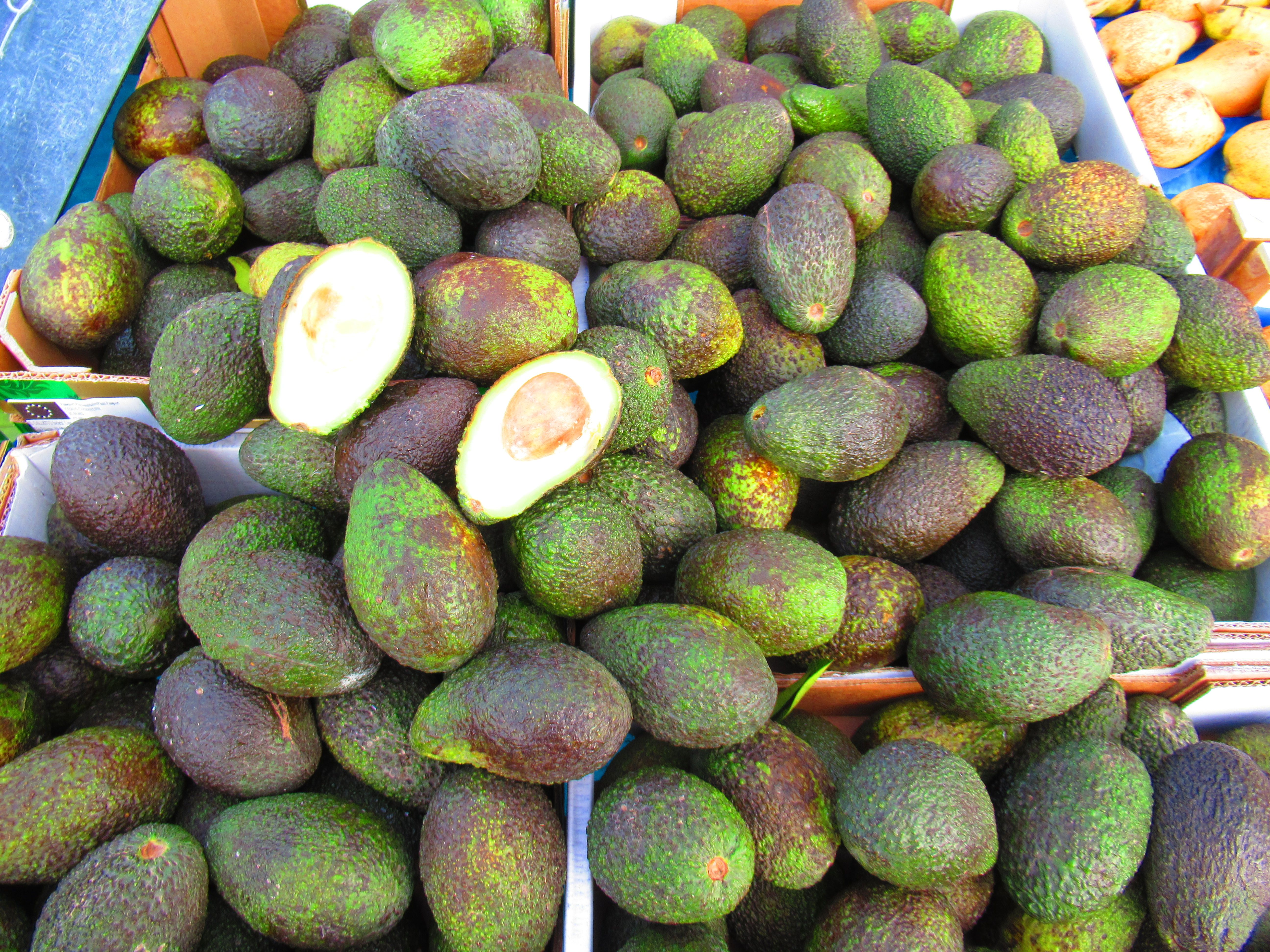 Avocats sur étal au marché