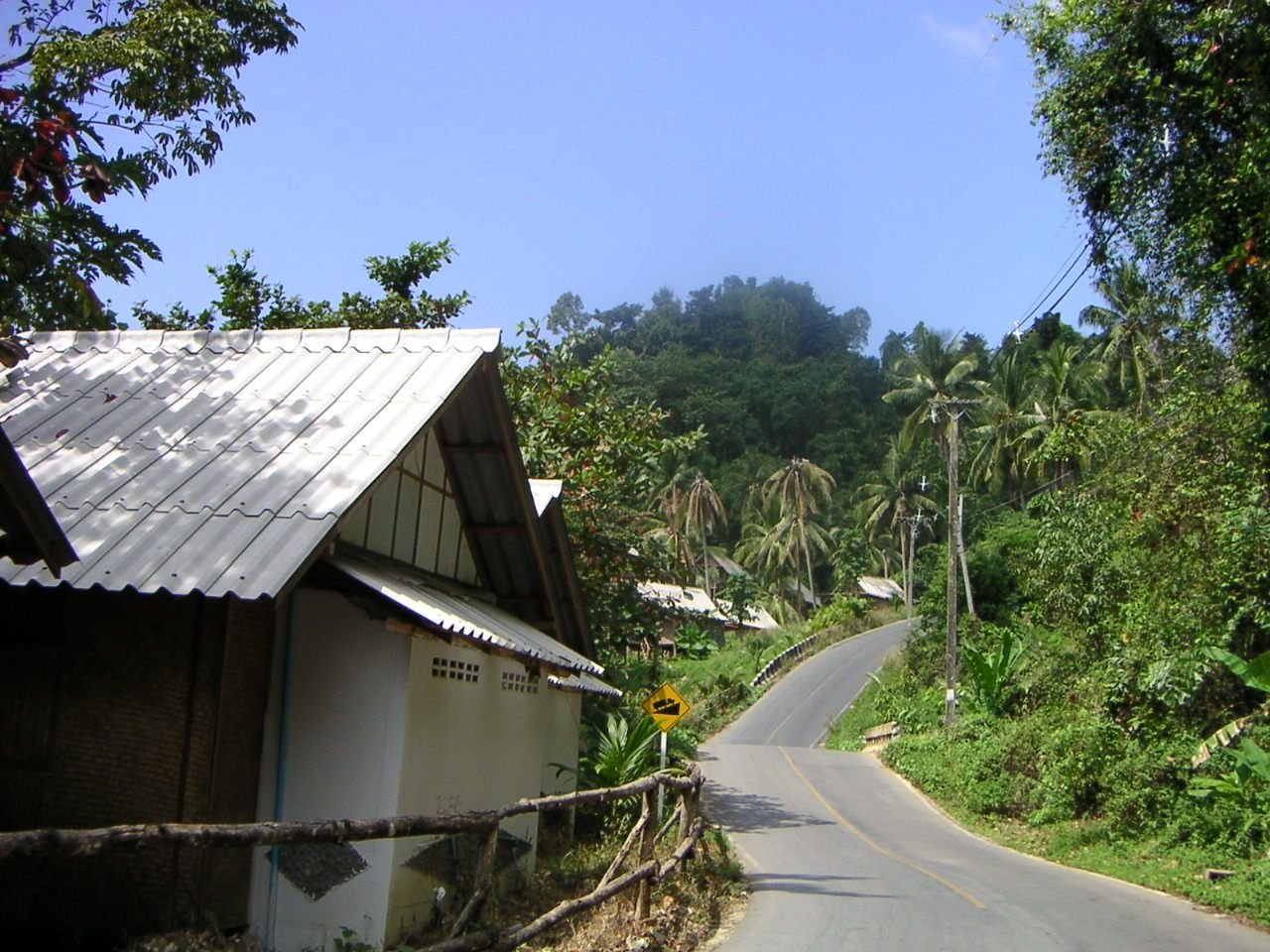 Des maisons au bord d'une route sinueuse montant une colline couverte de végétation dense et de palmier, palmier, photo gratuite