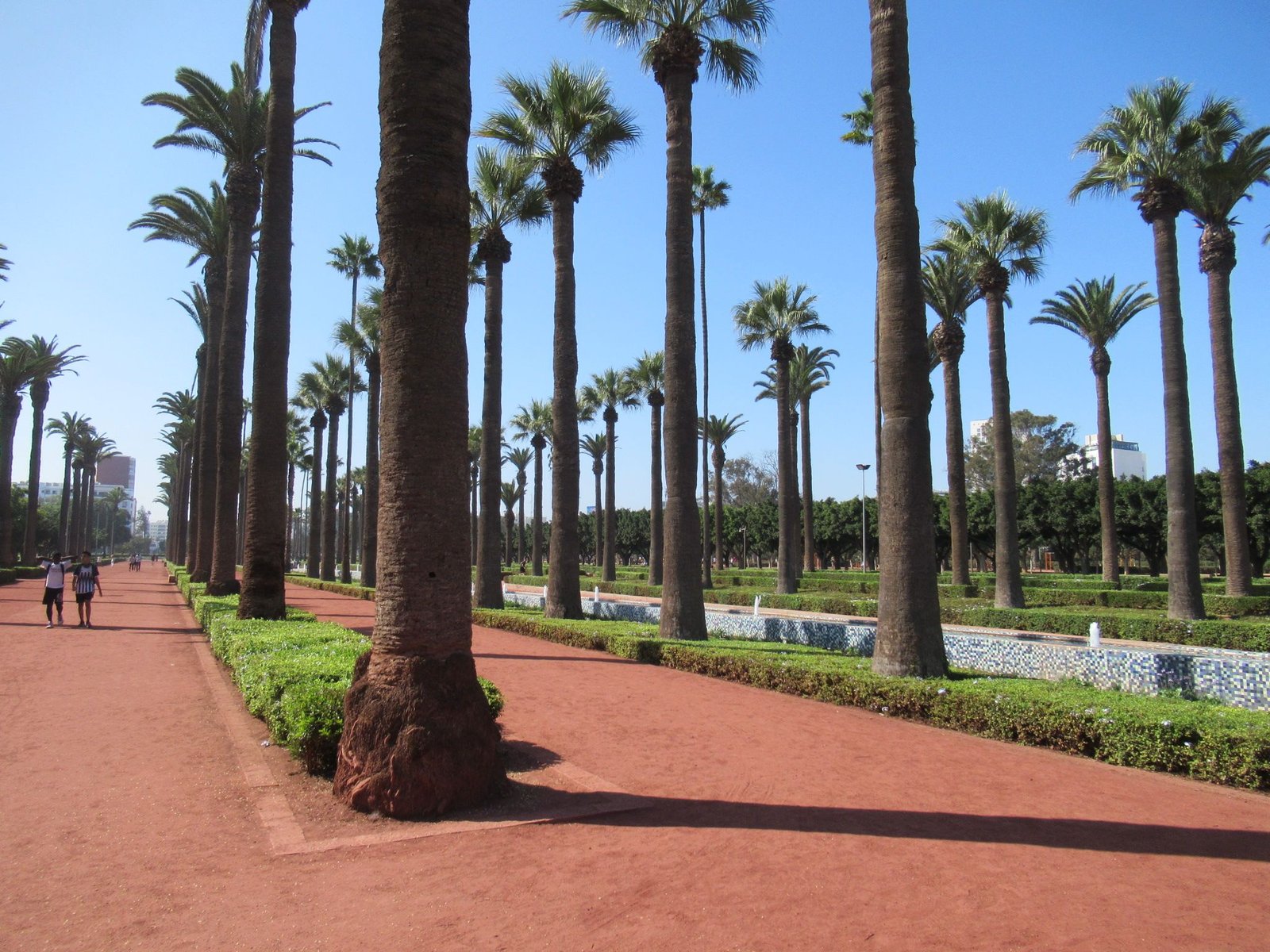 Le parc de la Ligue arabe à Casablanca, au Maroc, des palmiers, photo gratuite