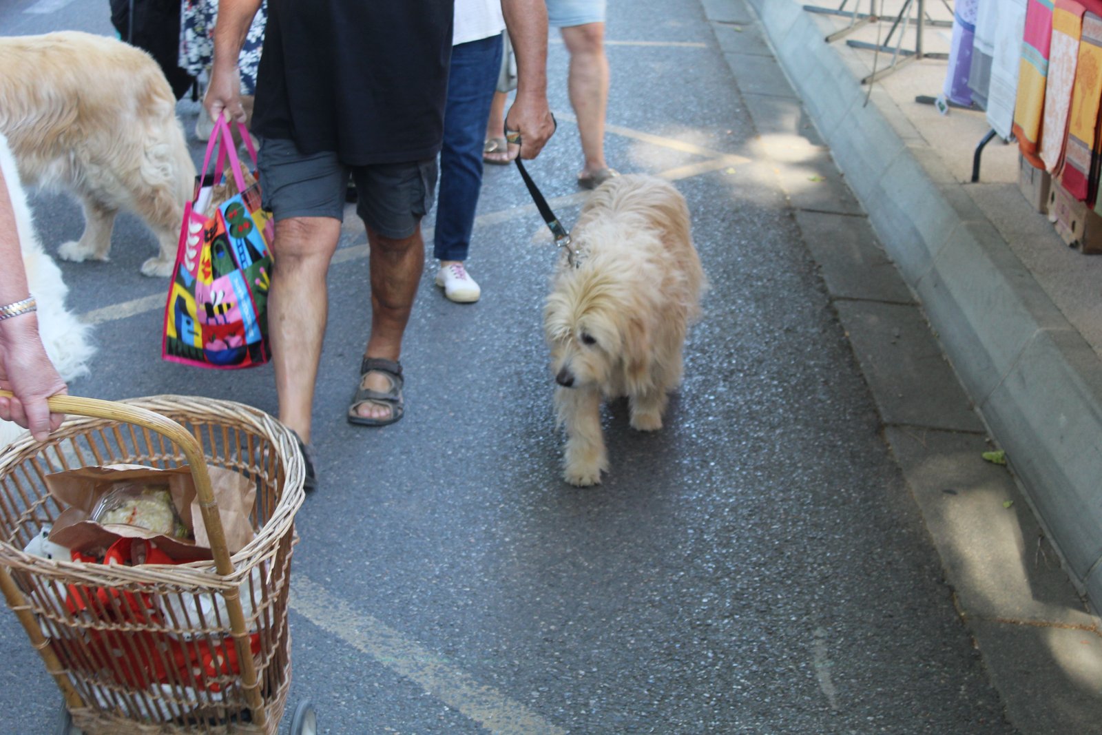 Un chien marchant sur un trottoir aux côtés de son propriétaire, photo gratuite