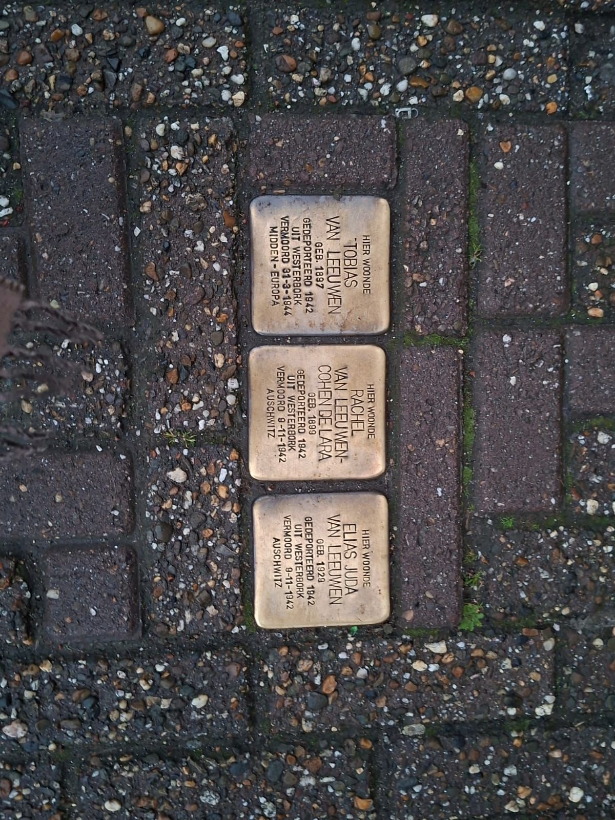 Pavés, Stolpersteine, photo gratuite
