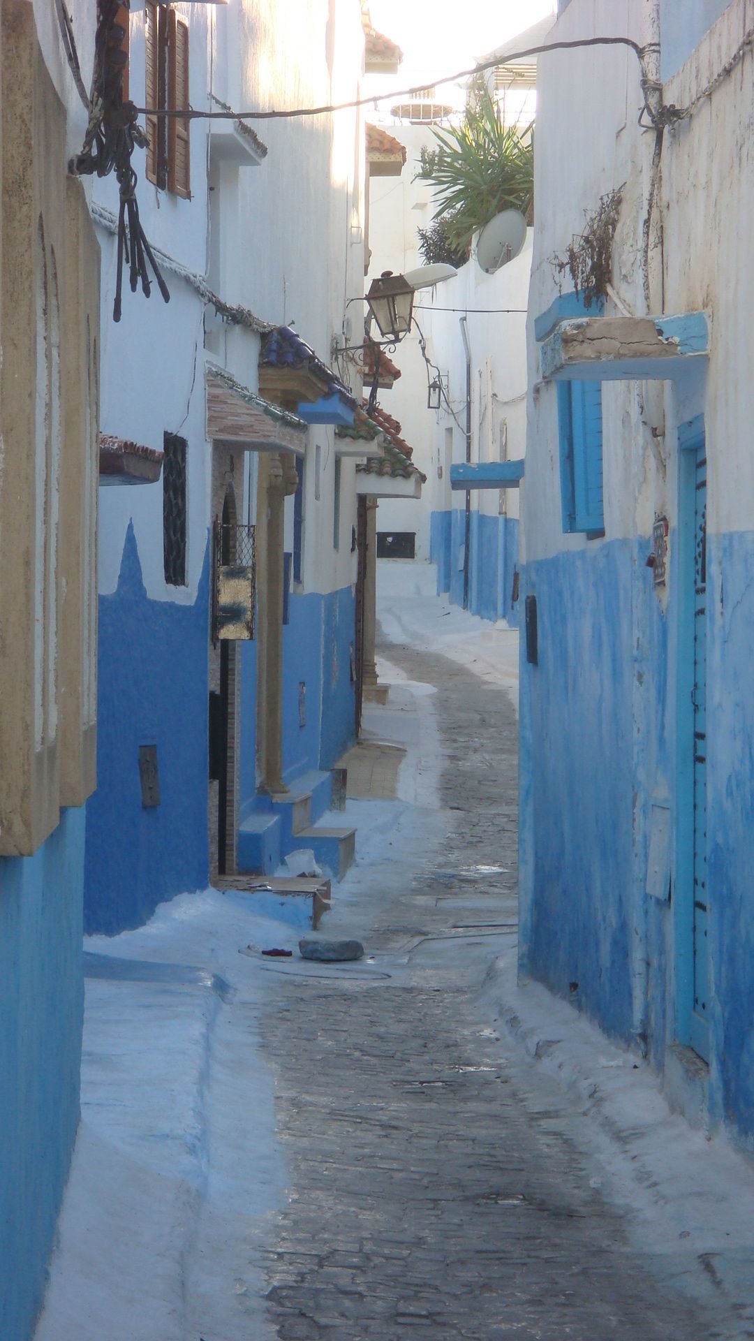 Andalusian architecture of a white-blue street in the Kasbah of the Oudayas free photo