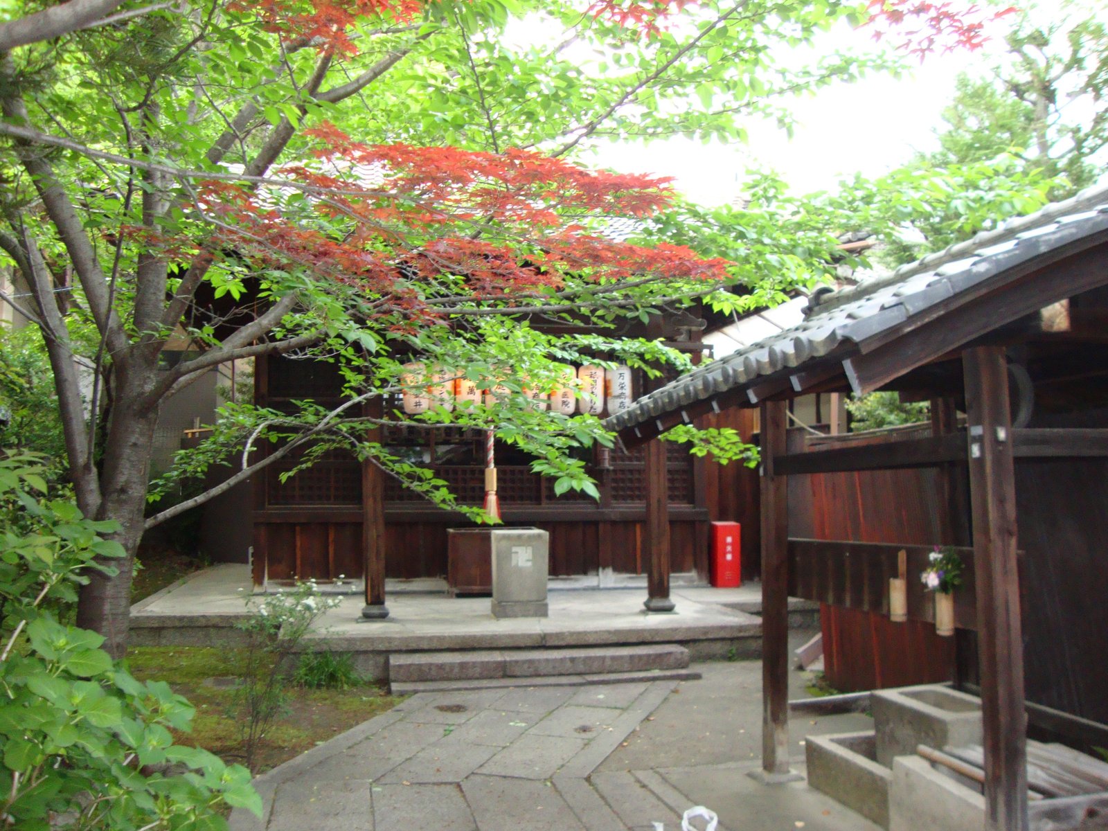 Jokoin Temple in Kyoto, Japan, Asia free photo