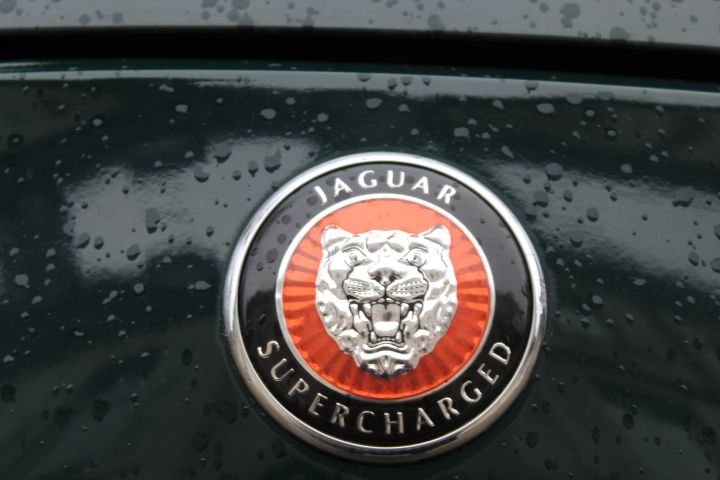 Emblème voiture Jaguar Supercharged sous la pluie photo gratuite