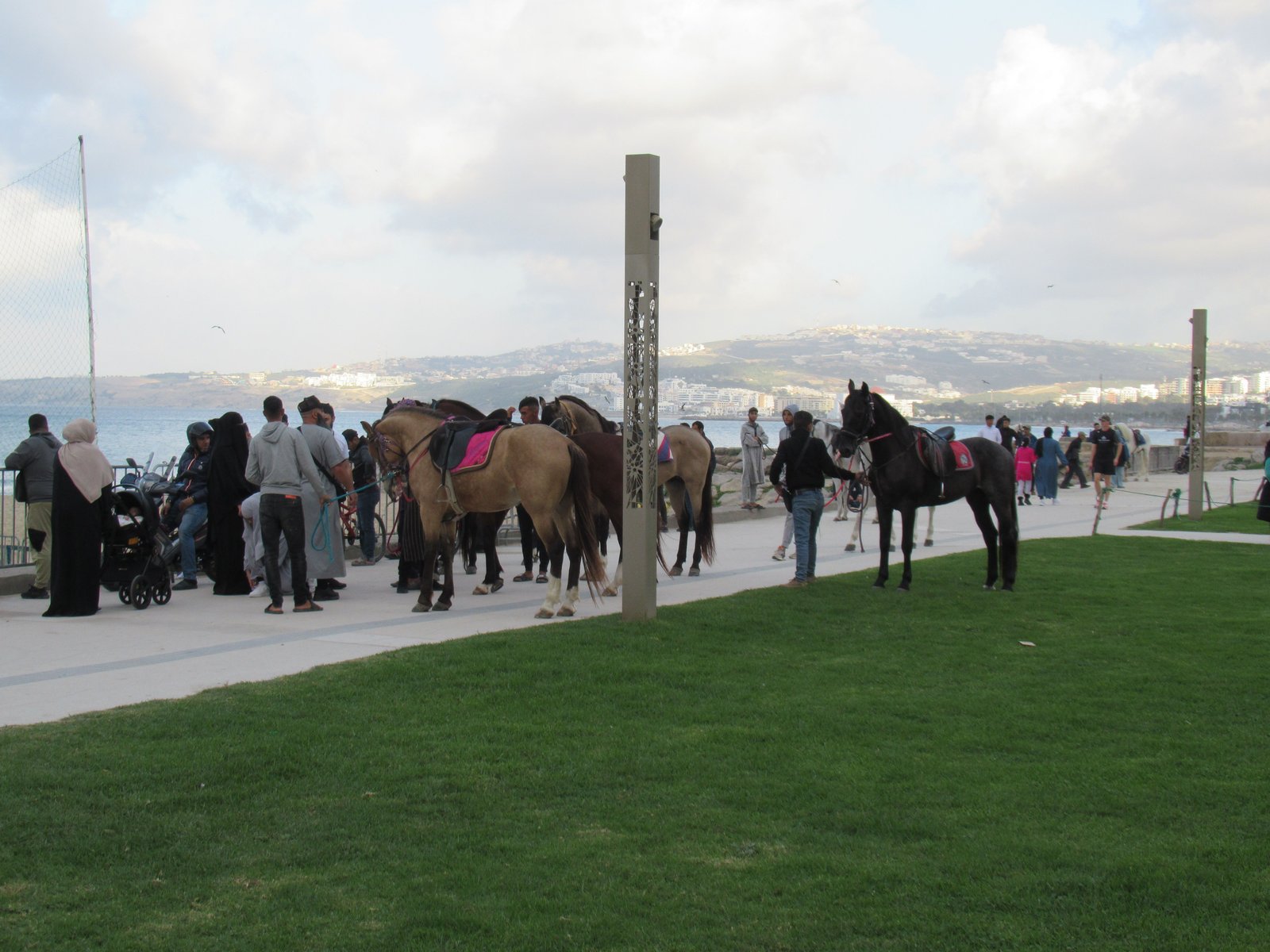 Photo gratuite des personnes avec des chevaux sur la corniche à Tanger