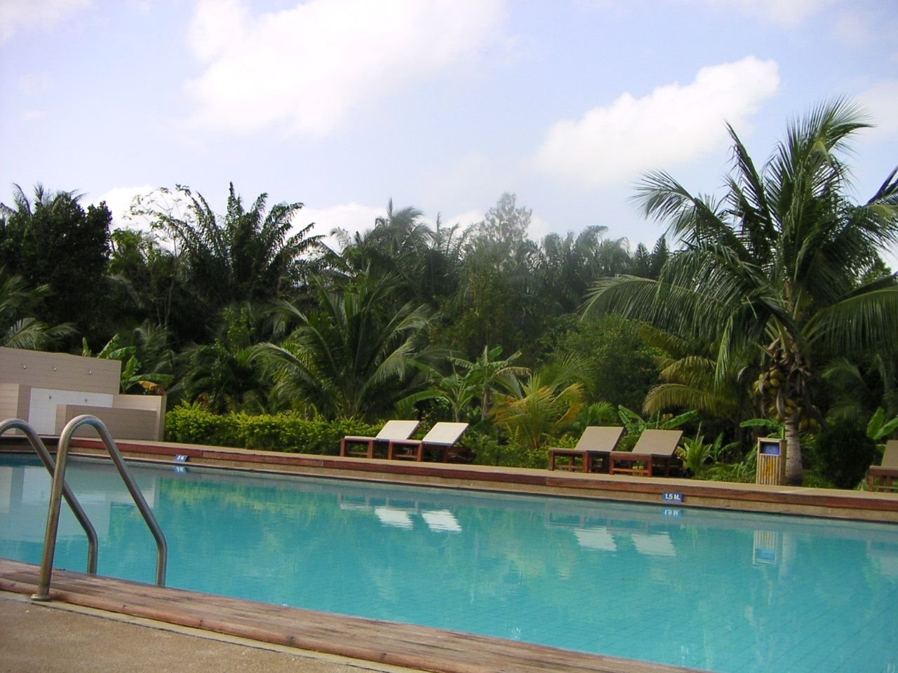 Une piscine extérieure dans un environnement tropical, bordée de chaises longues et entourée d'une végétation luxuriante, notamment des palmiers, photo gratuite