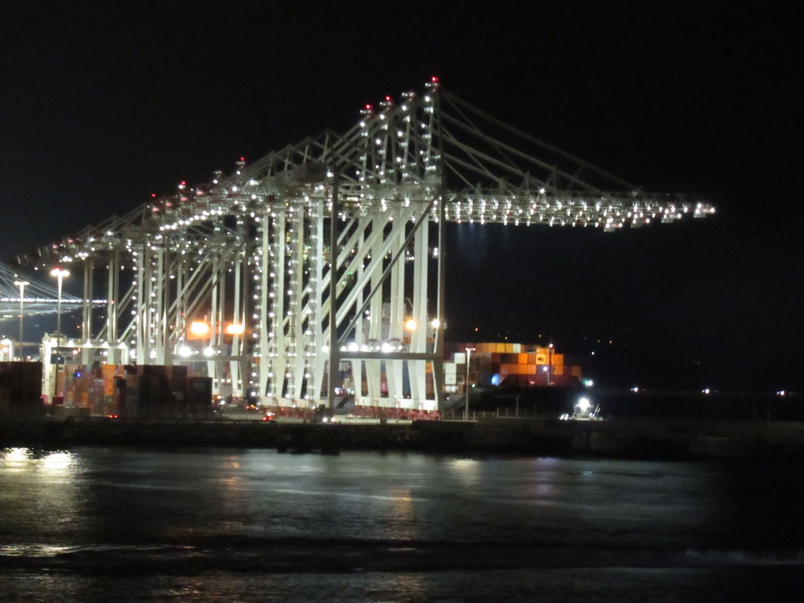 Soulevées portiques, Terminal à conteneurs du port de Tanger Med, lumineux dans la nuit photo gratuite