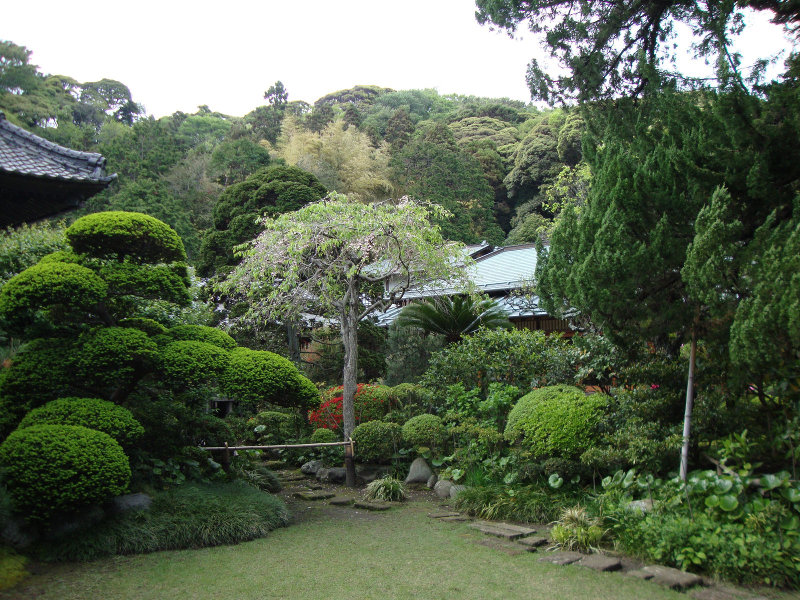 Jardin d'un temple bouddhiste zen photo gratuite
