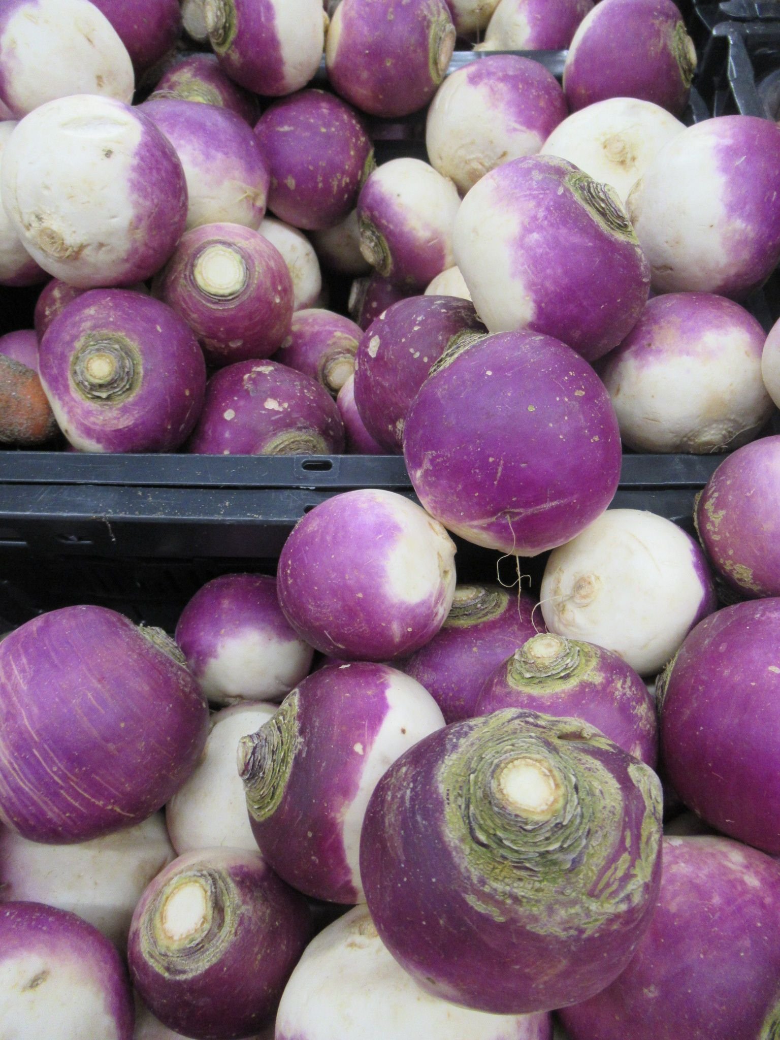 Navets, photo gratuite