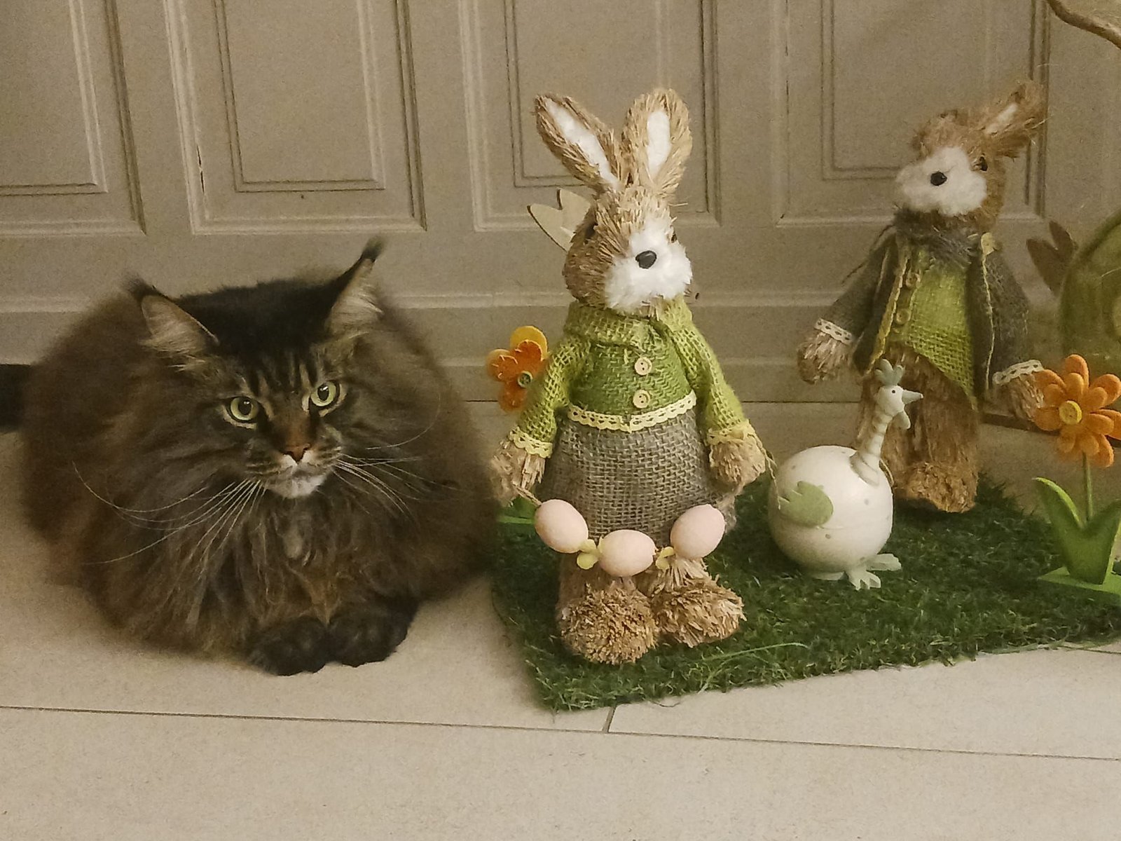A domestic cat sitting next to Easter decorations, a rabbit, and a figurine. Free photo.