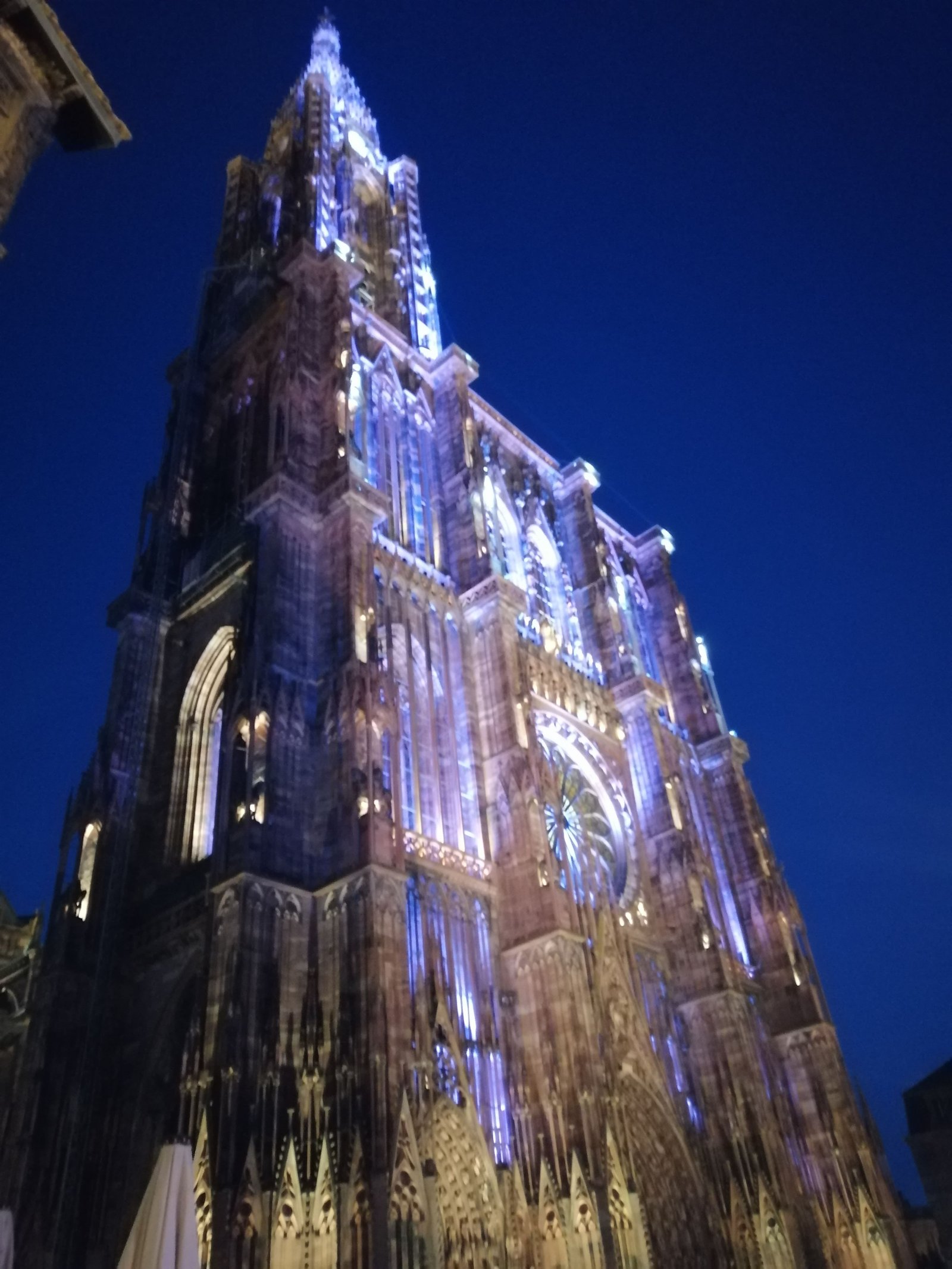 Cathédrale de Strasbourg lors des illuminations la nuit