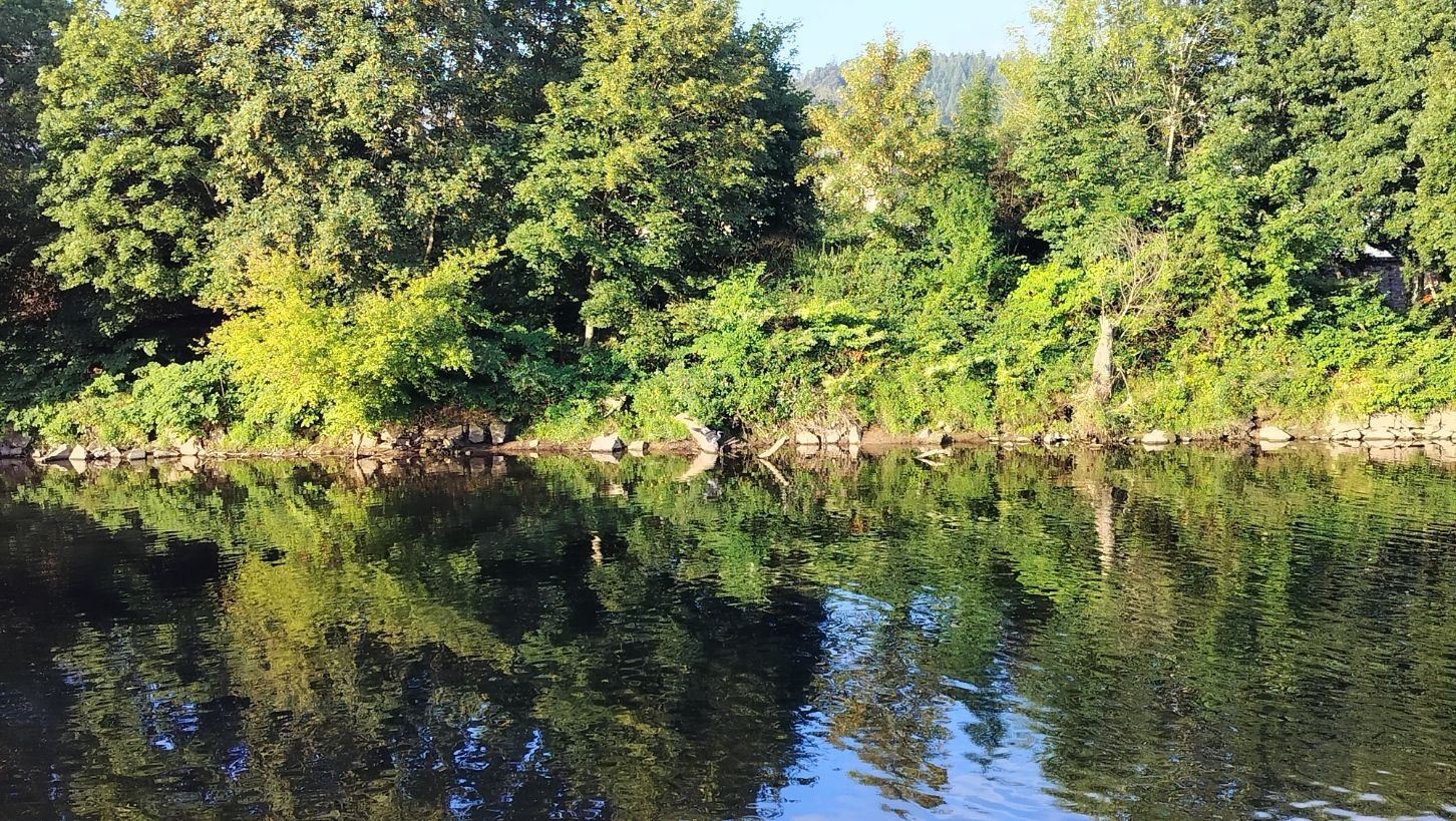 La sensibilité d'une rivière douce dans la nature photo gratuite - Die Sensibilität eines sanften Flusses in der Natur, kostenloses Foto