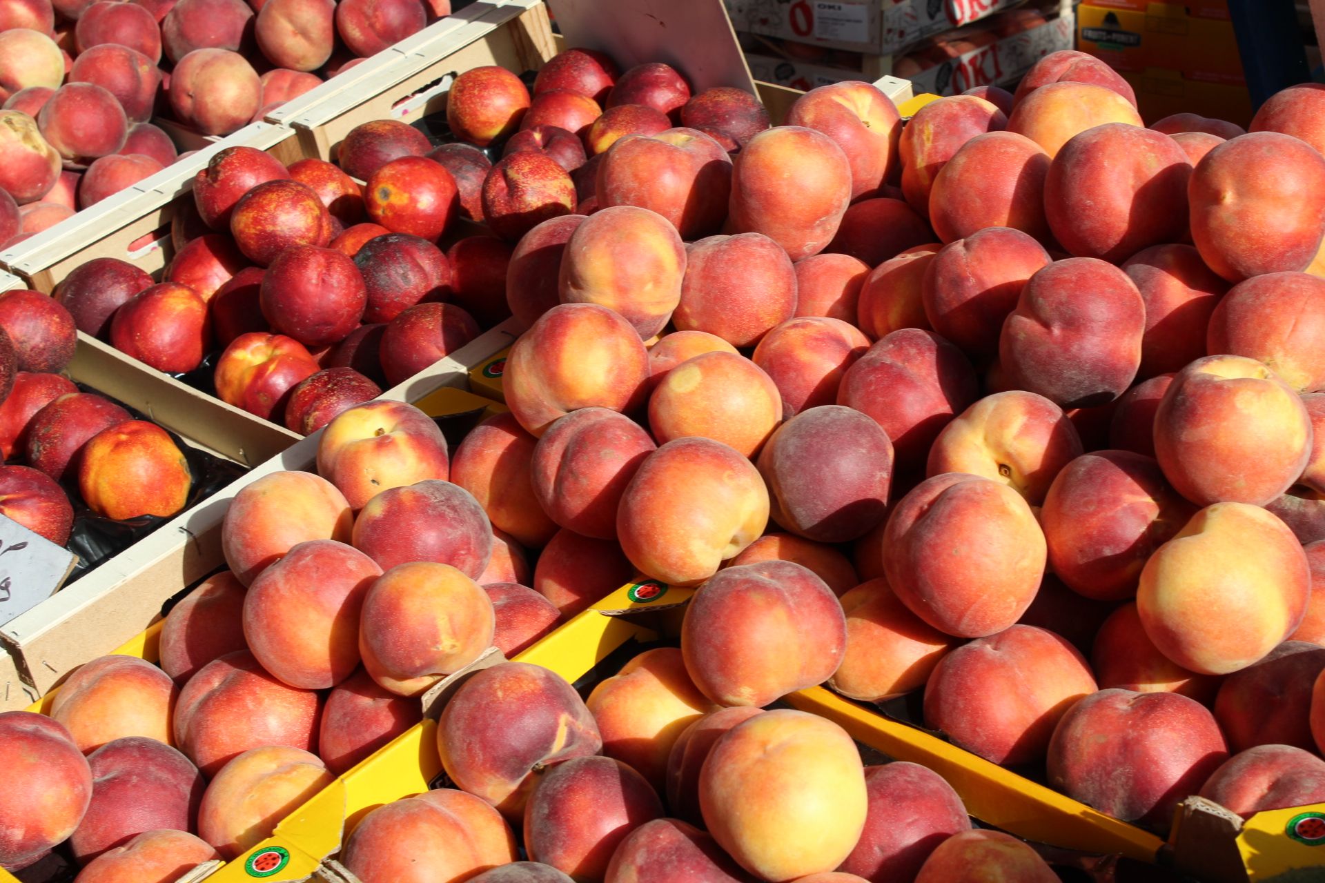Étale de fruit : brugnon