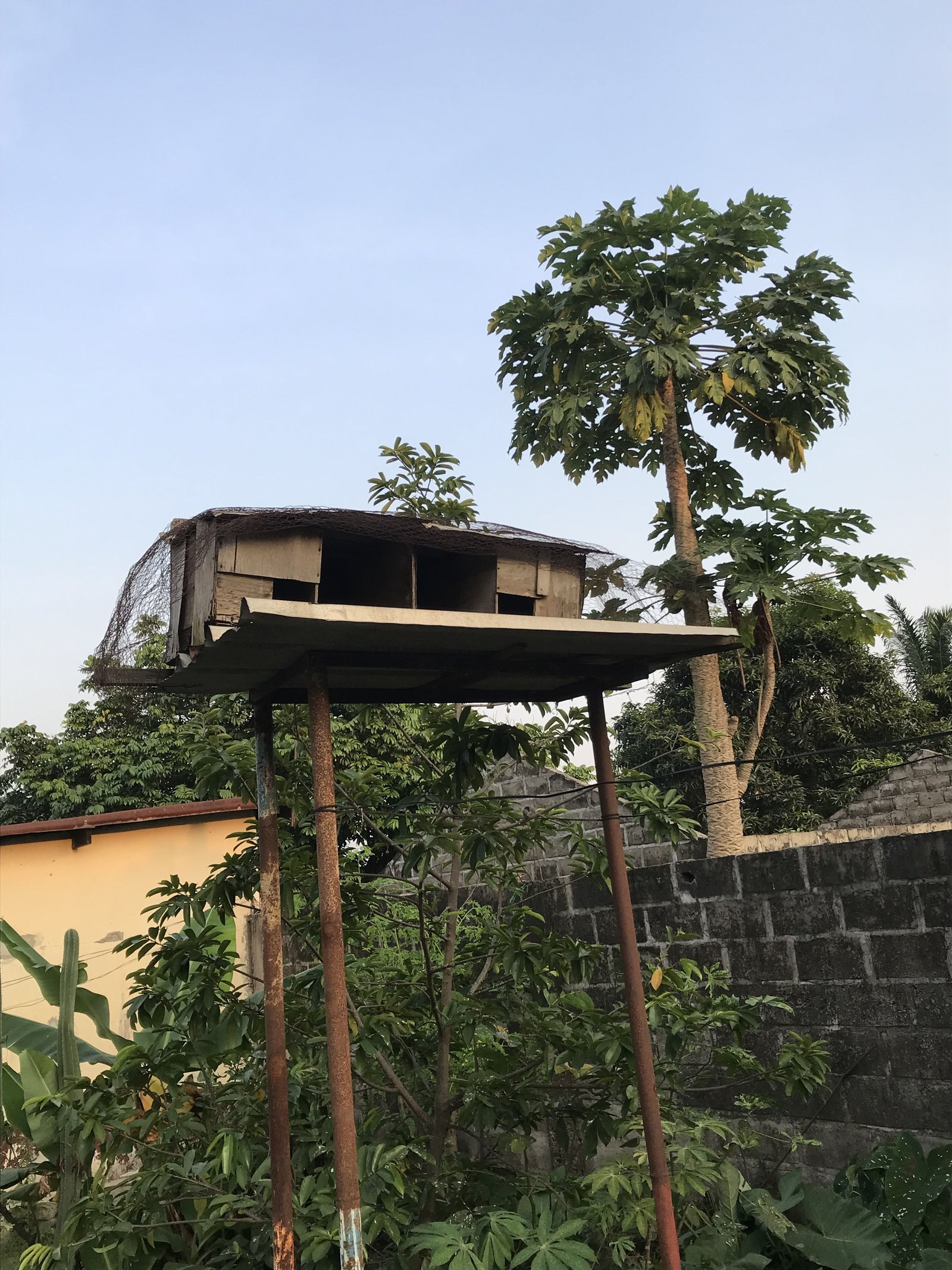 Une cage pour oiseaux en hauteur photo gratuite
