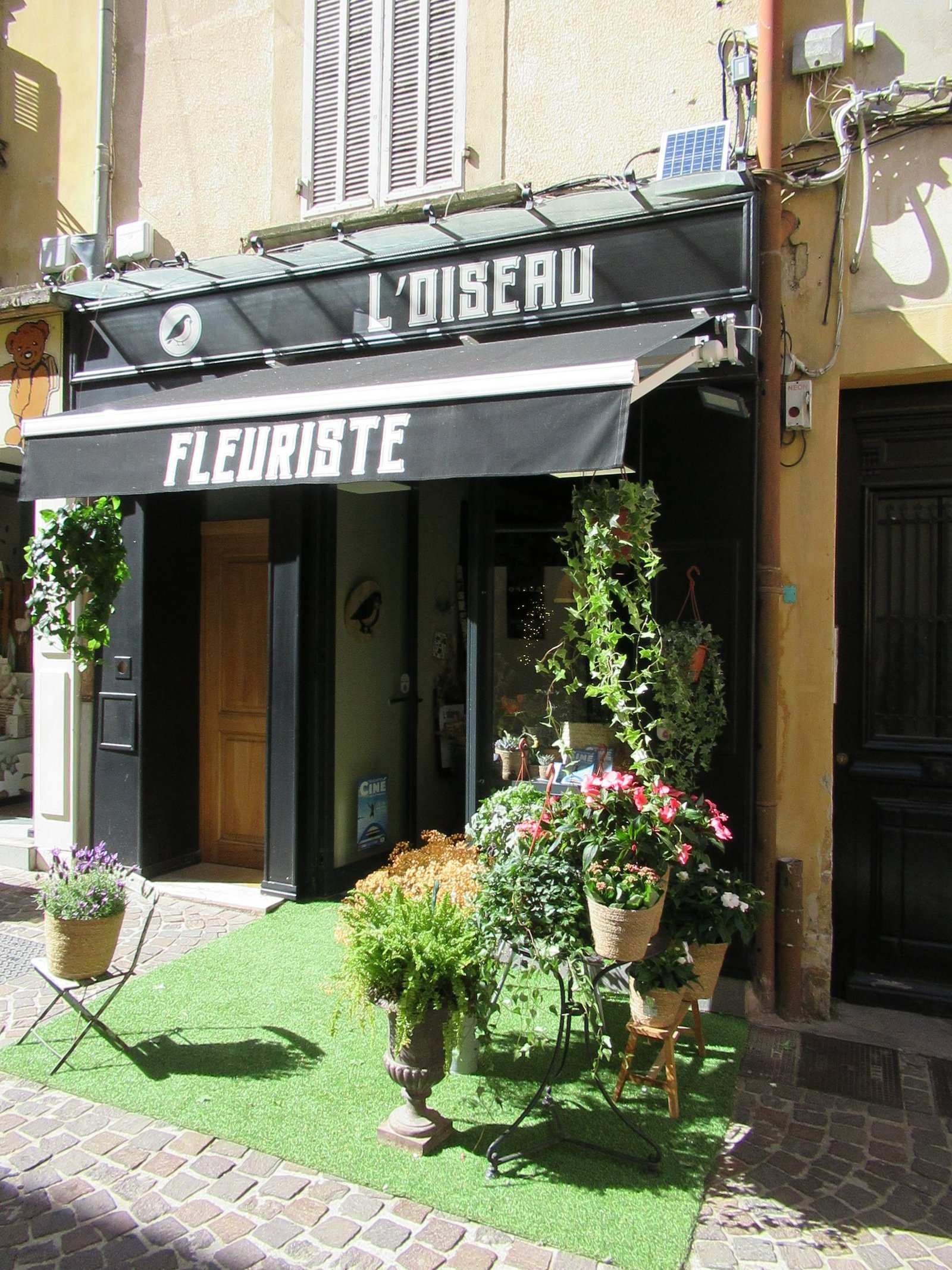 Magasin de fleurs à Salon de Provence