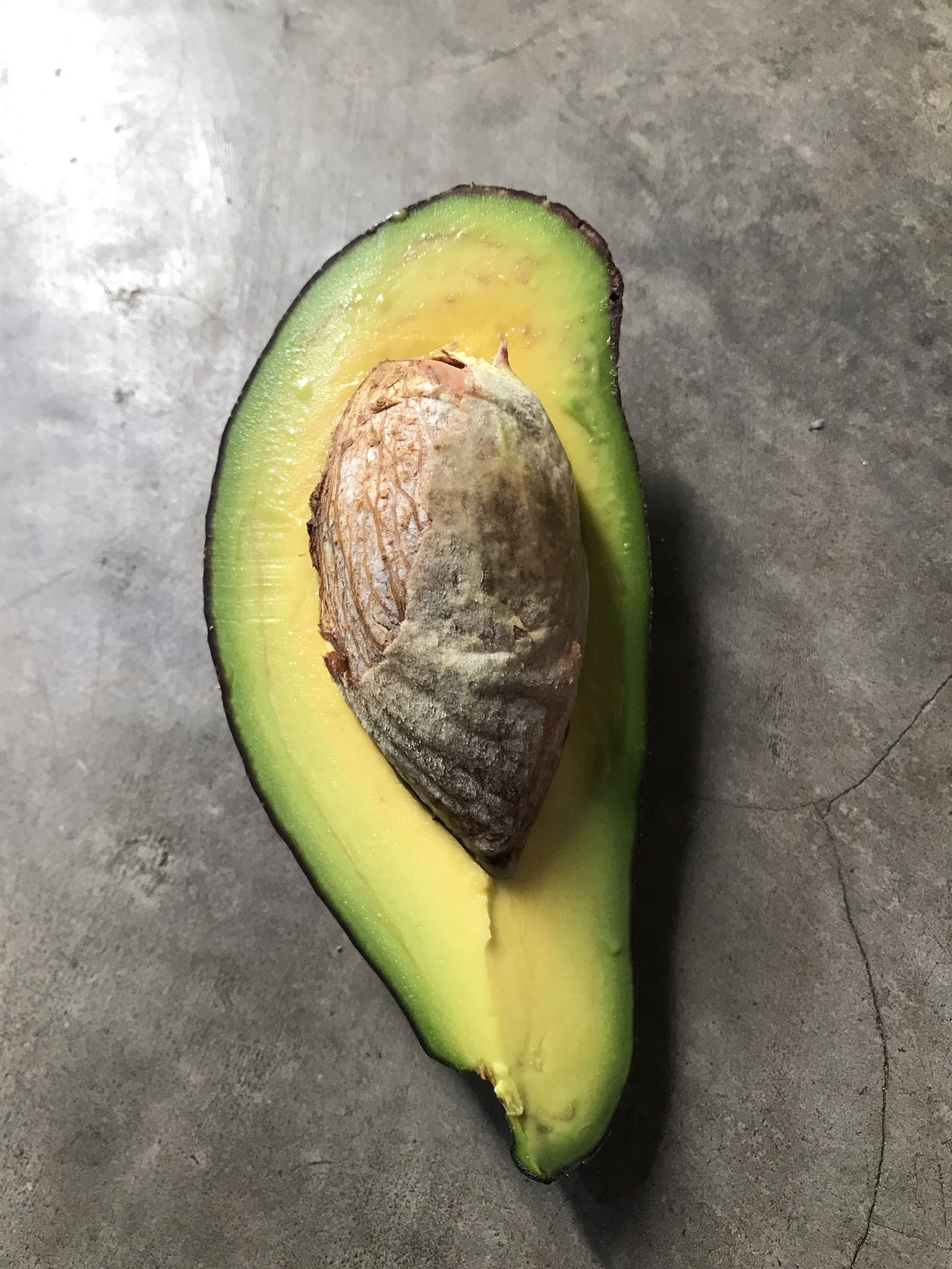 Un morceau d’avocat prêt à manger photo gratuite